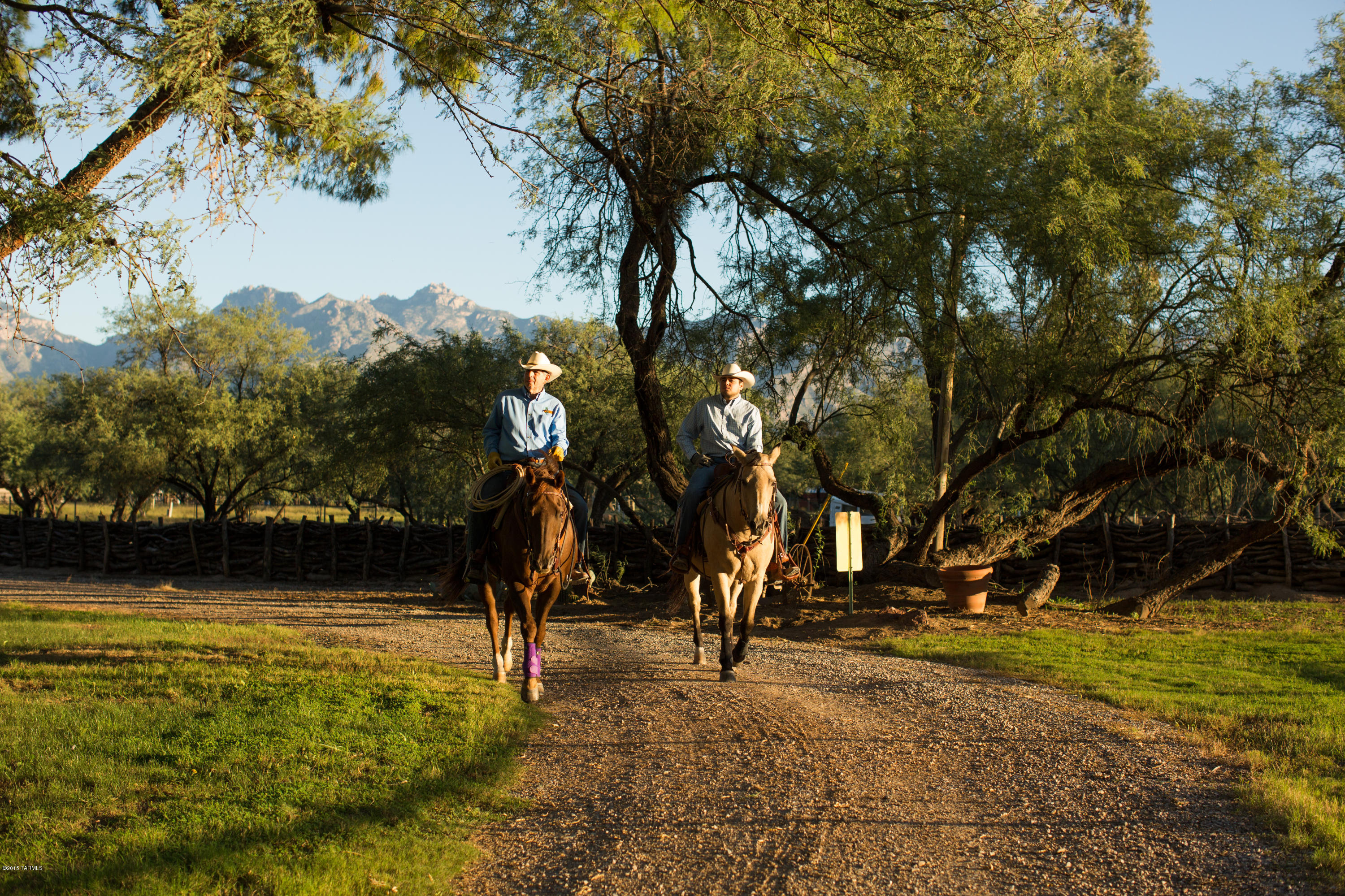 Tanque Verde Country Estates - Residential