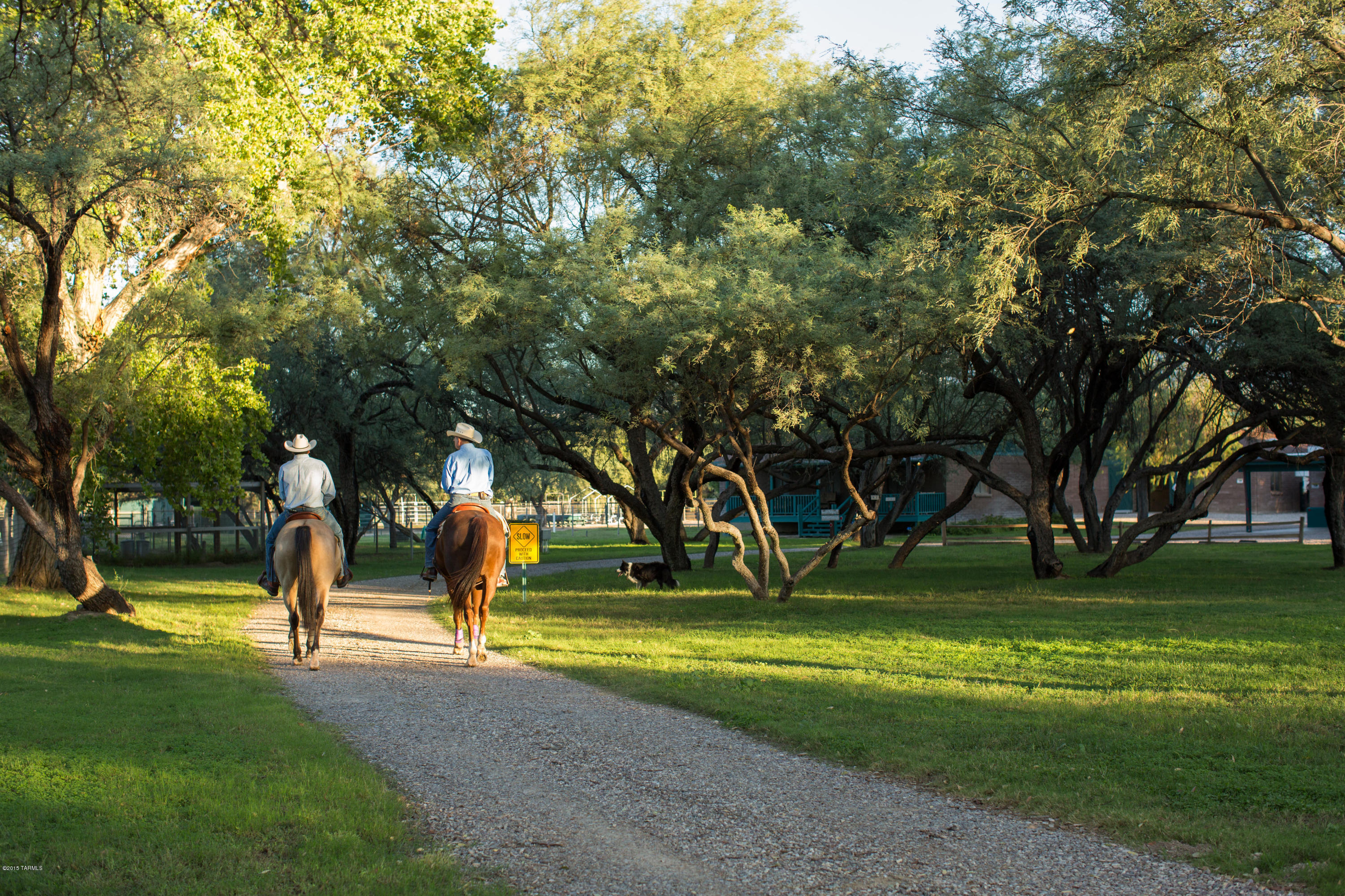 Tanque Verde Country Estates - Residential