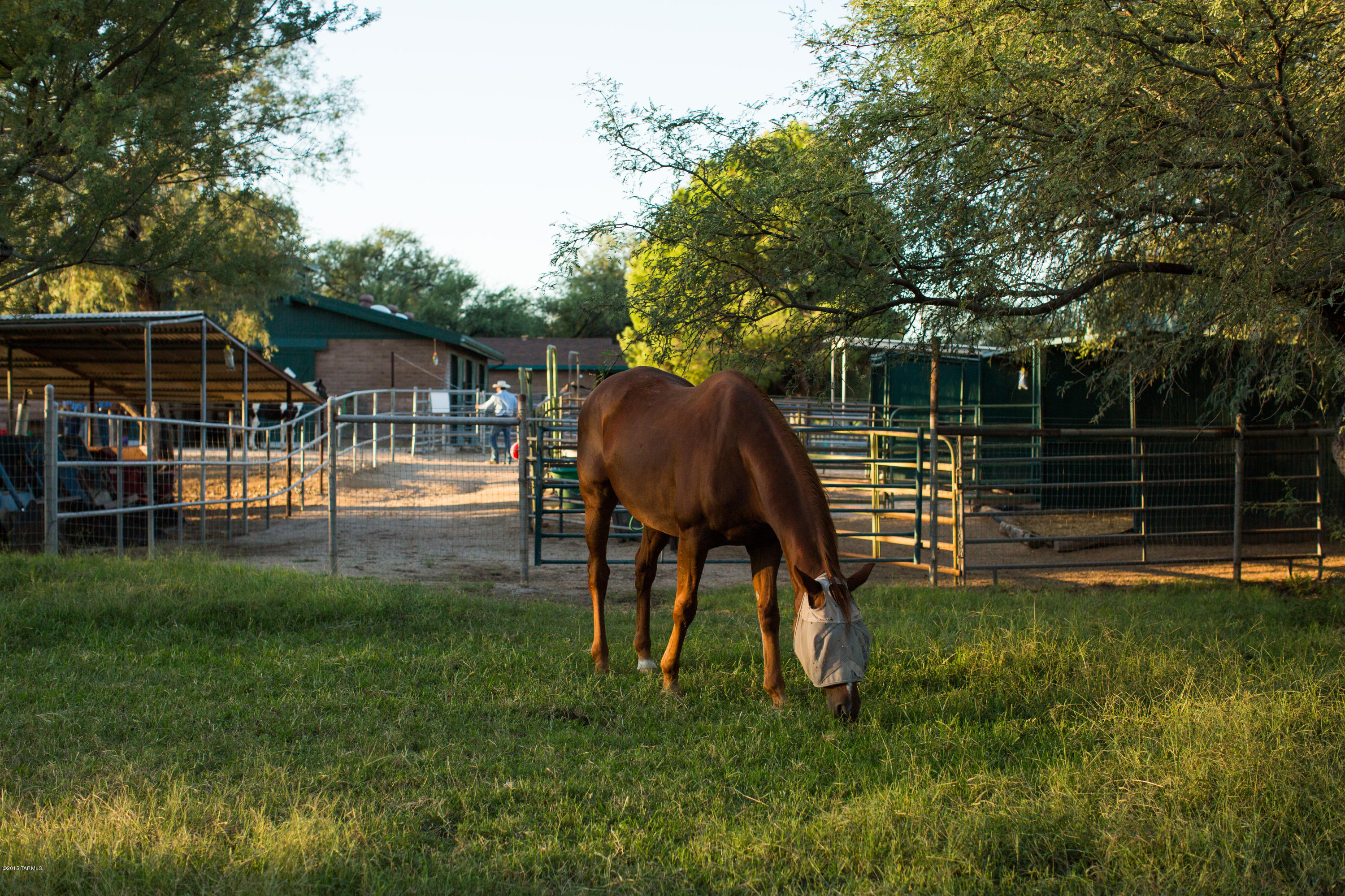 Tanque Verde Country Estates - Residential
