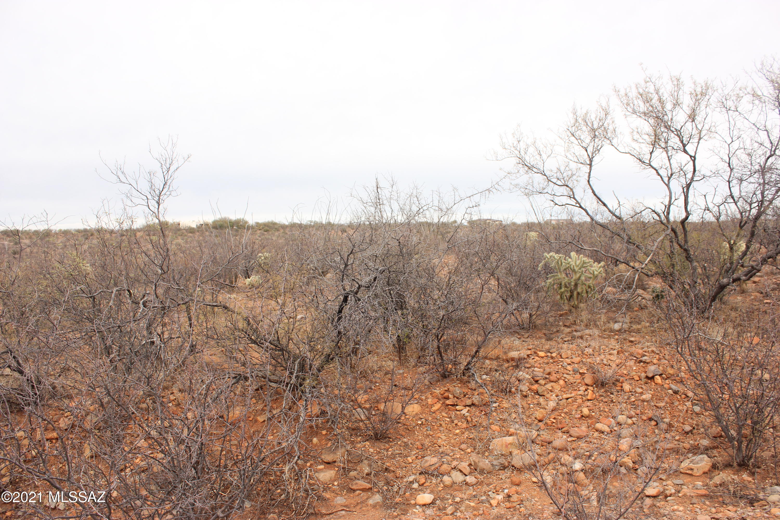 Rio Rico Ranchettes 18 - Land