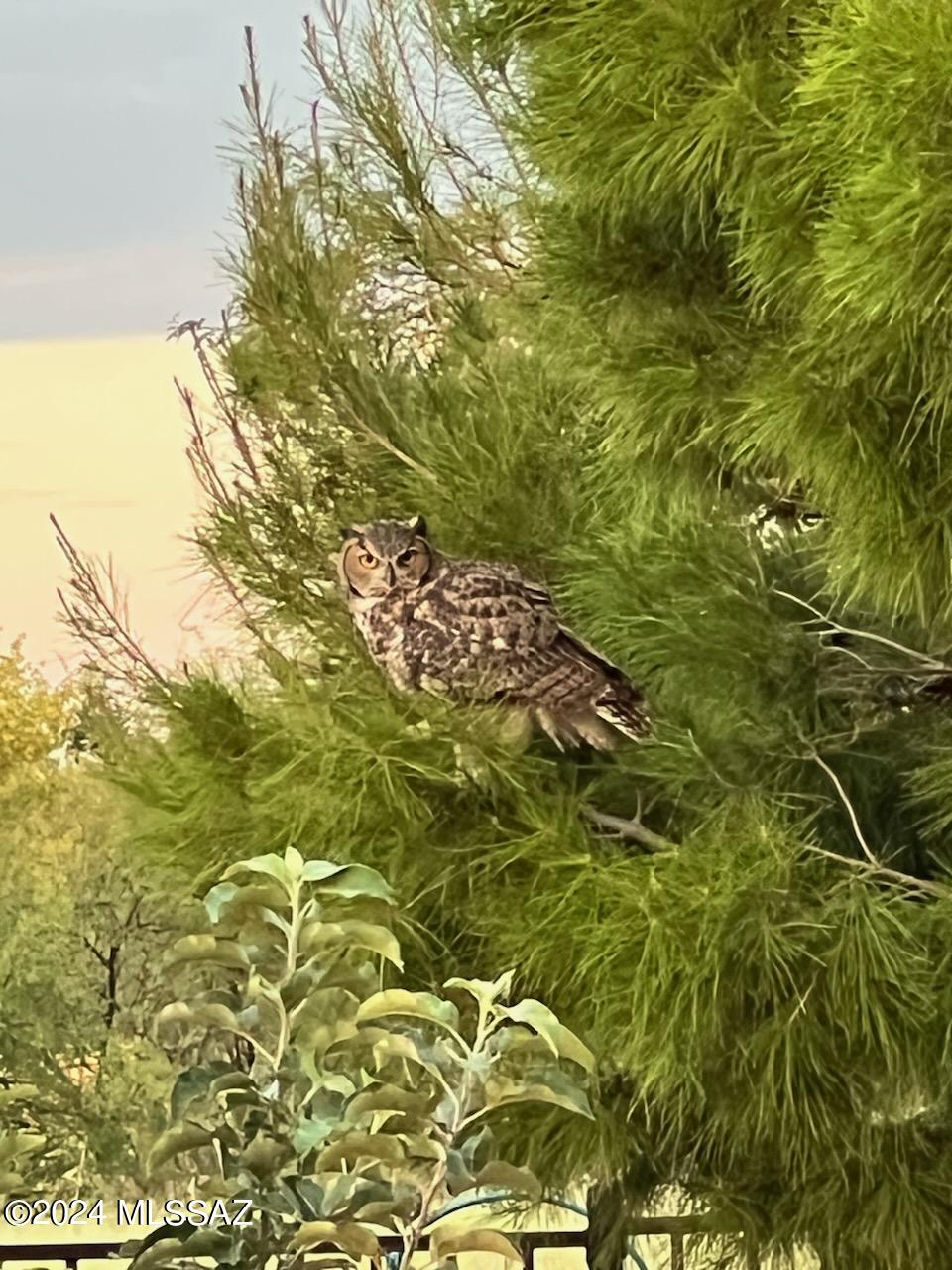 Red Hawk at J-6 Ranch - Residential