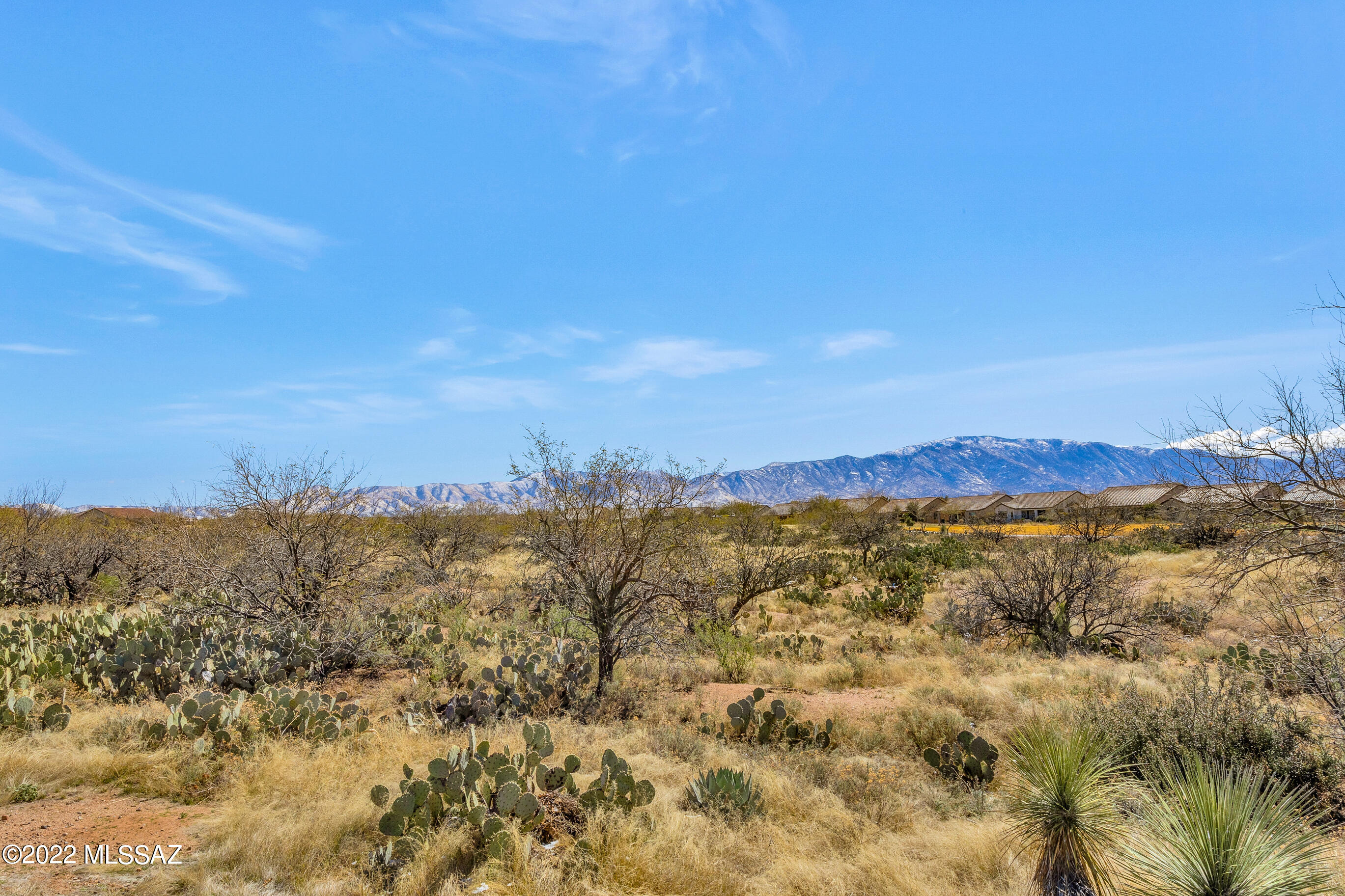 Saddlebrooke Ranch - Residential