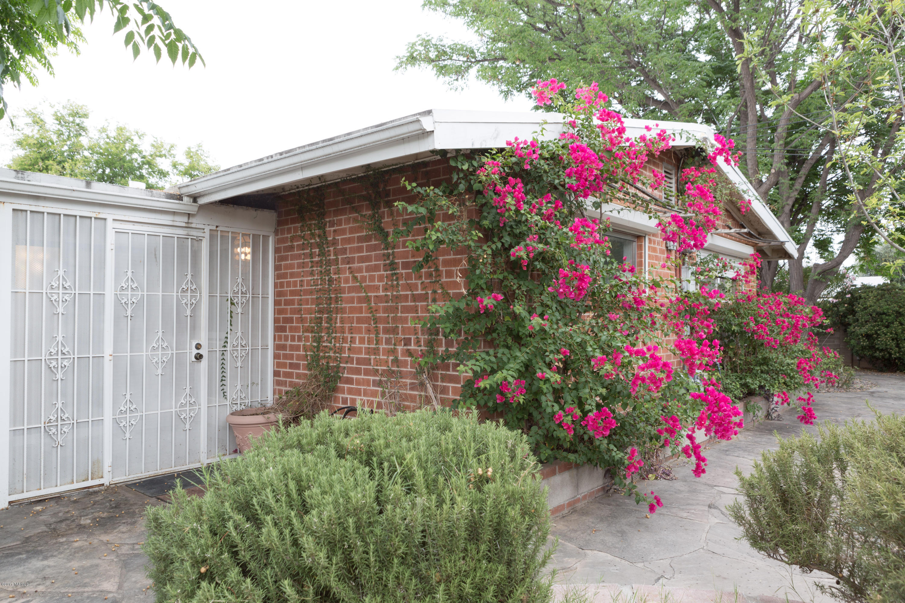 Shaheen Estates - Residential