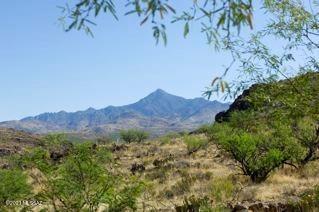 Morning Star Ranch - Land