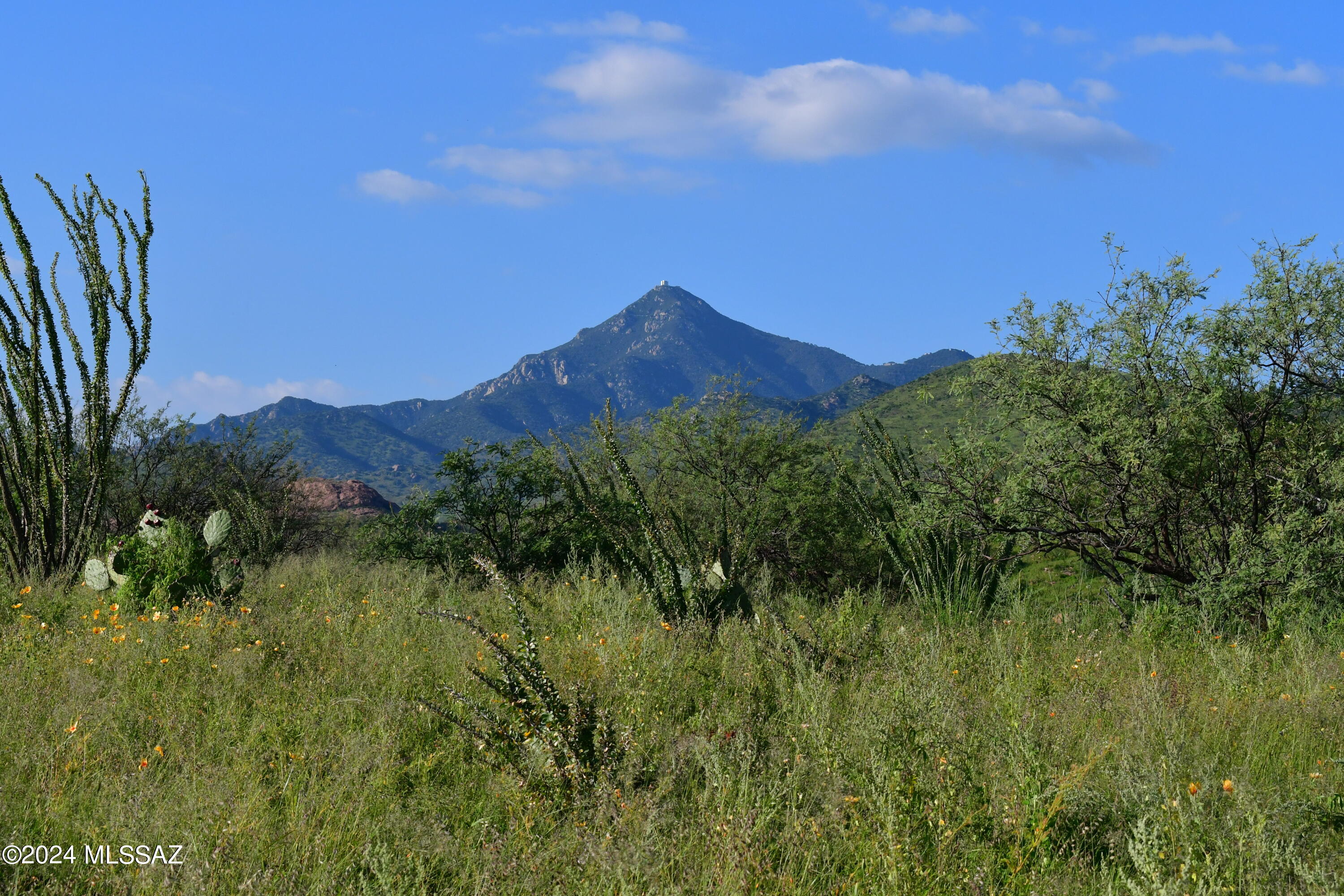 Salero Ranch - Land