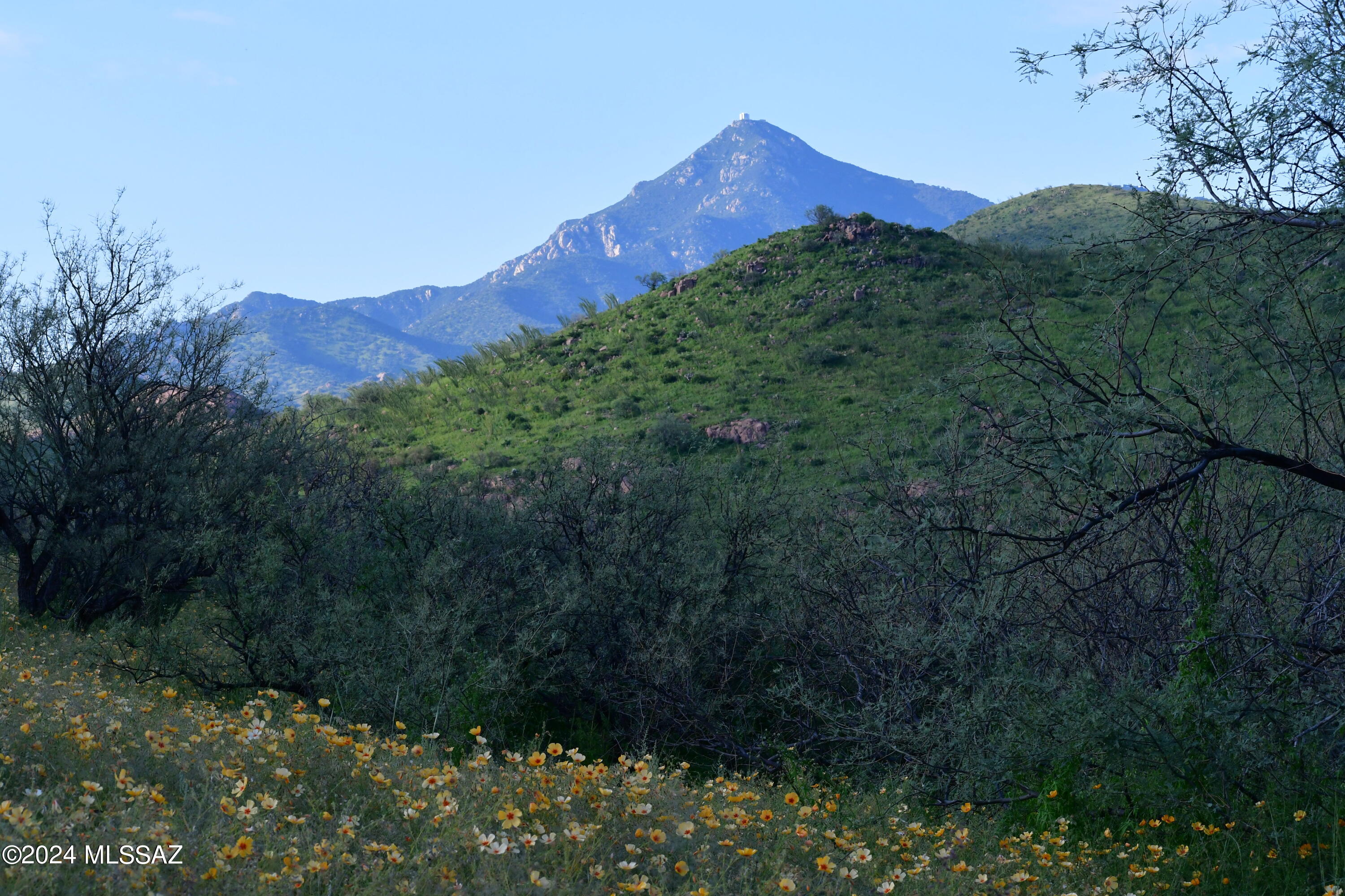 Salero Ranch - Land