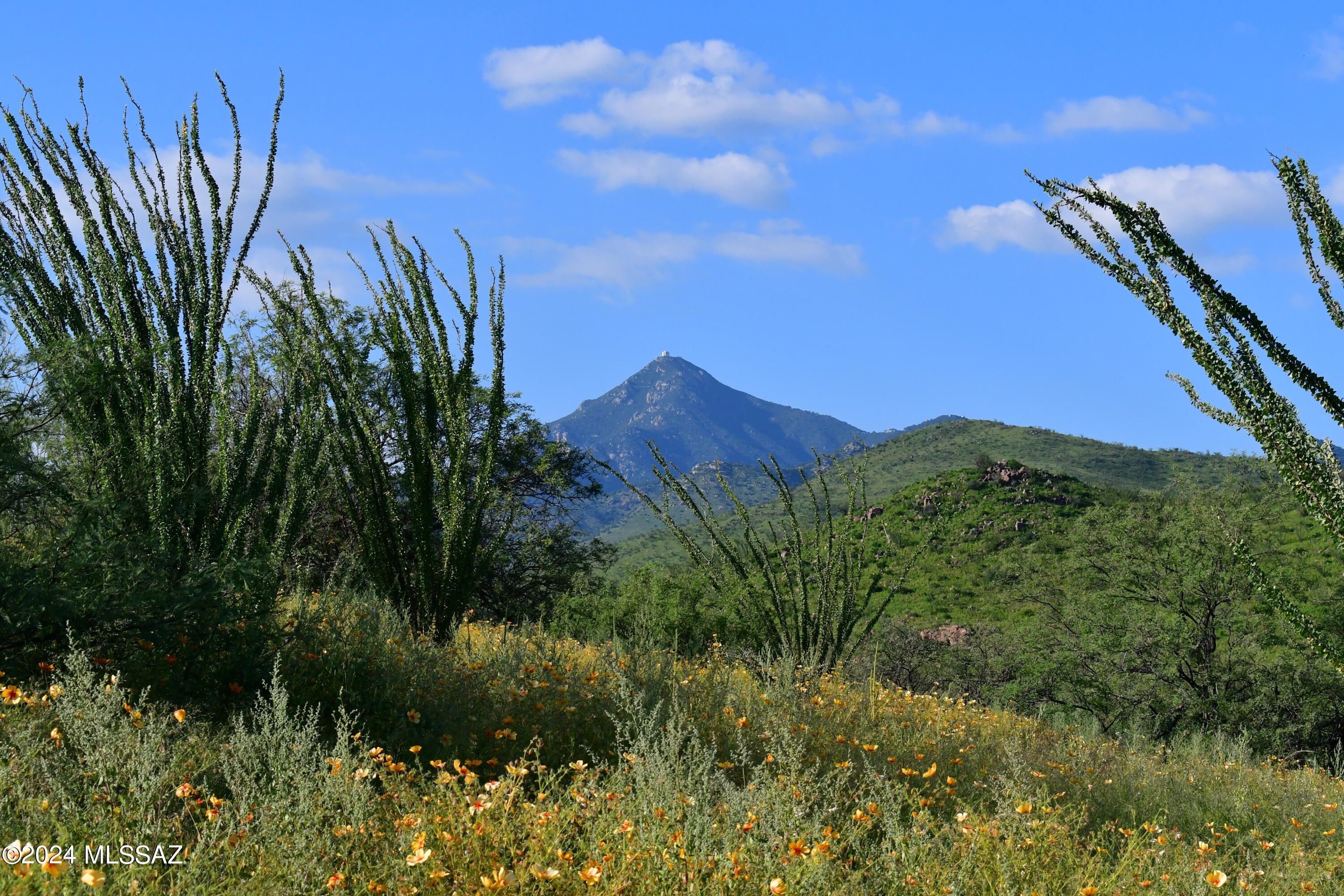Salero Ranch - Land