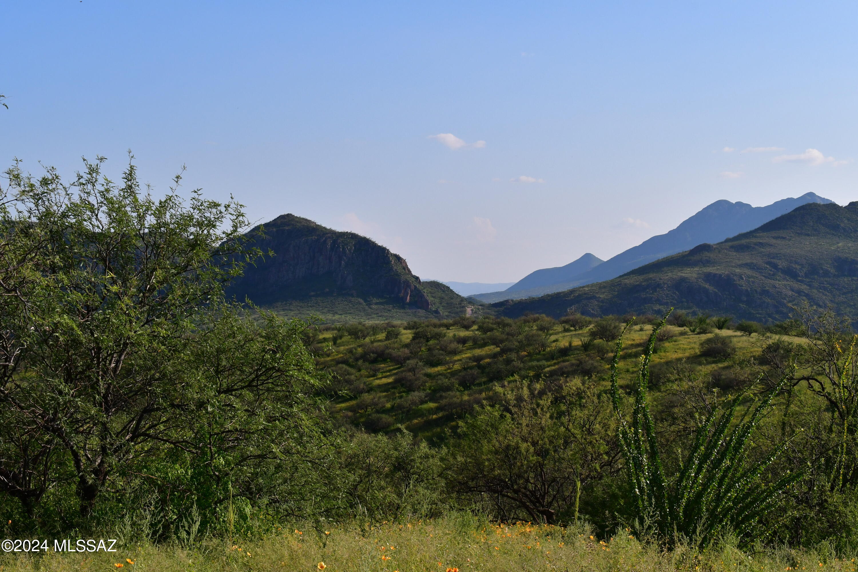 Salero Ranch - Land