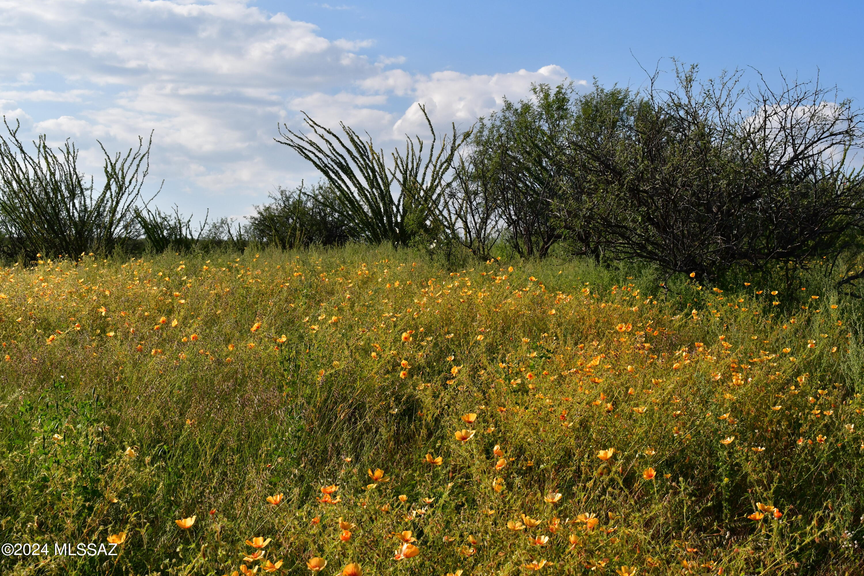 Salero Ranch - Land