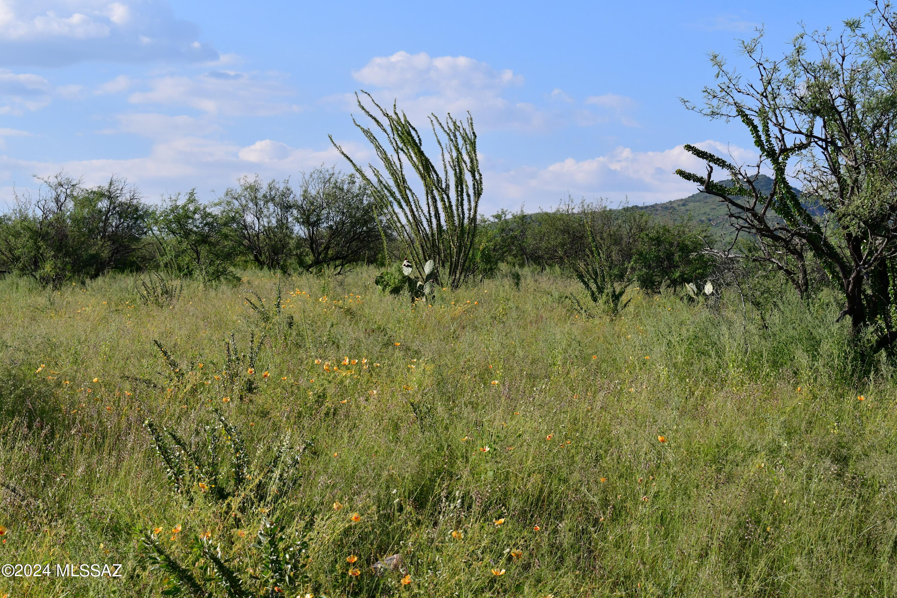 Salero Ranch - Land