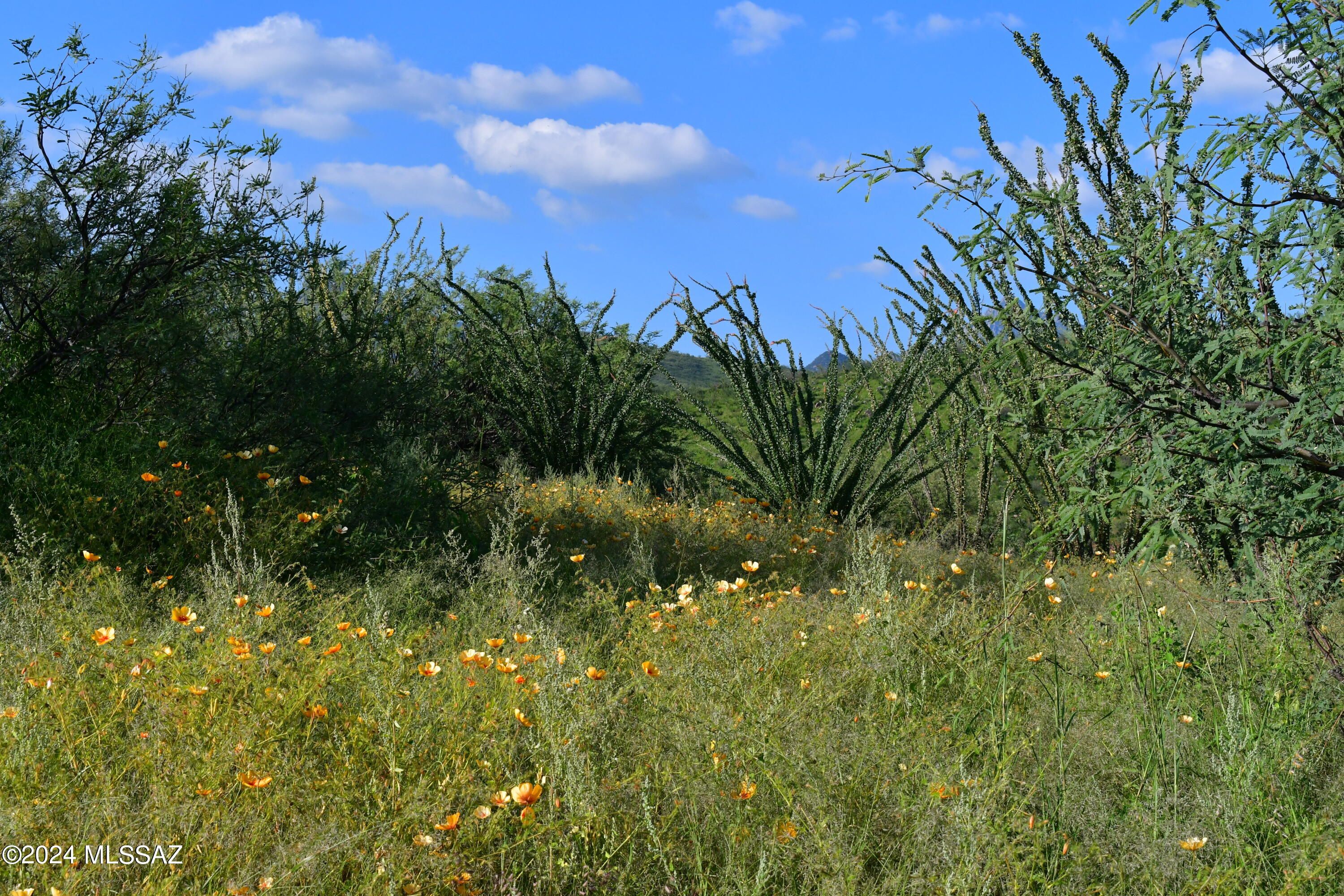 Salero Ranch - Land