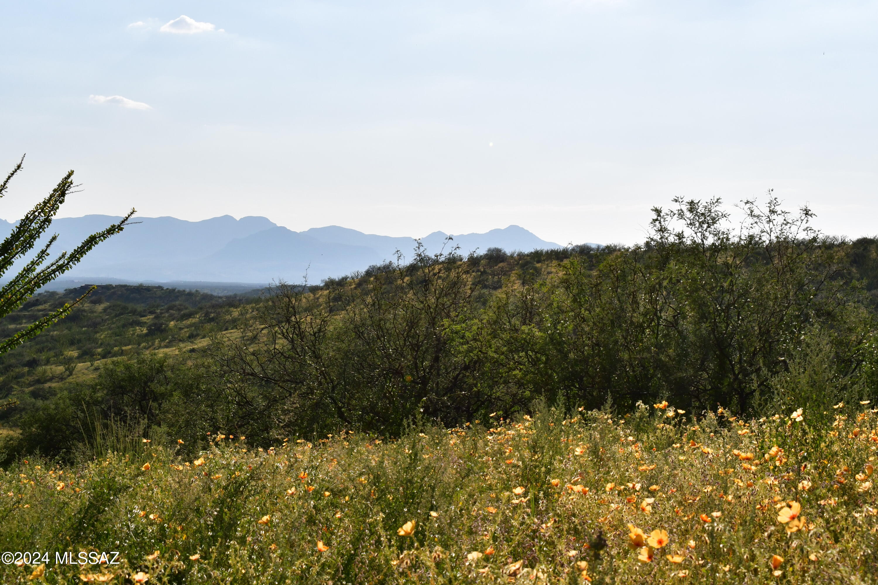 Salero Ranch - Land