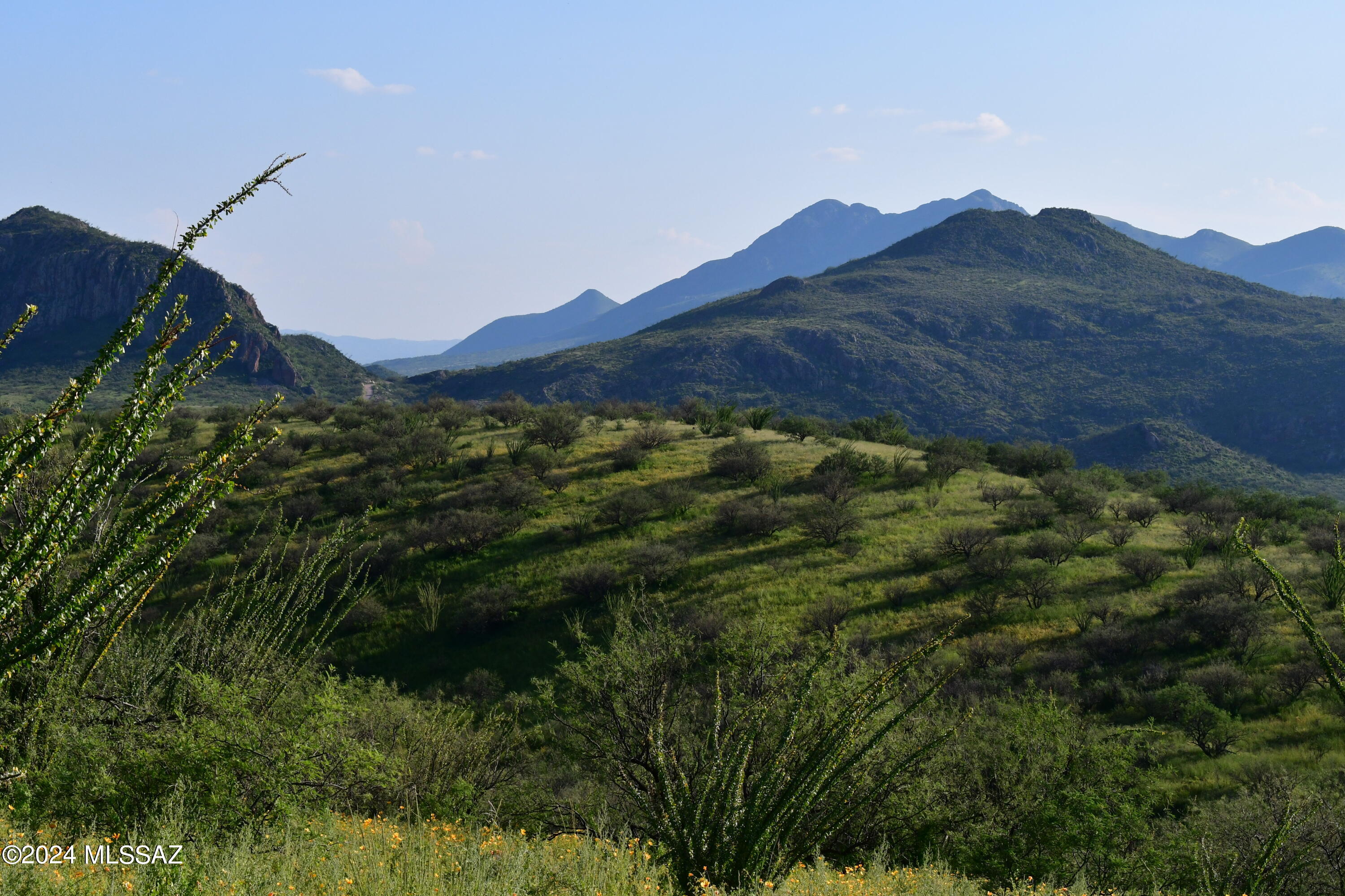 Salero Ranch - Land