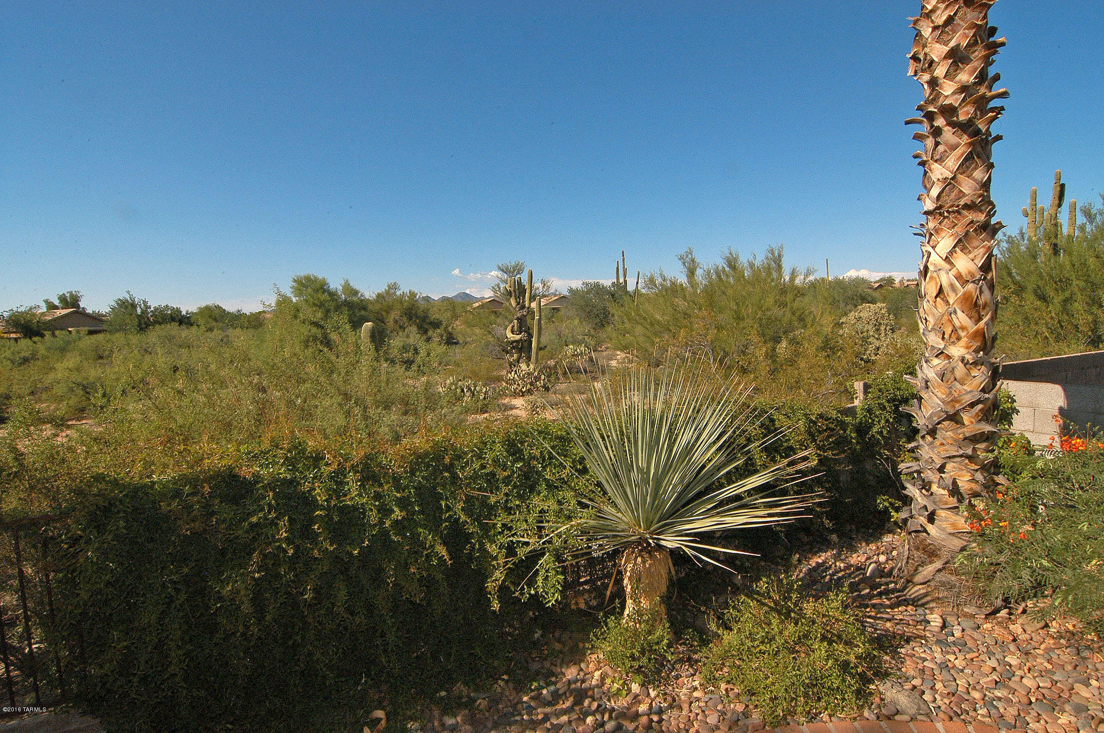 Countryside Vista (1-386) - Residential