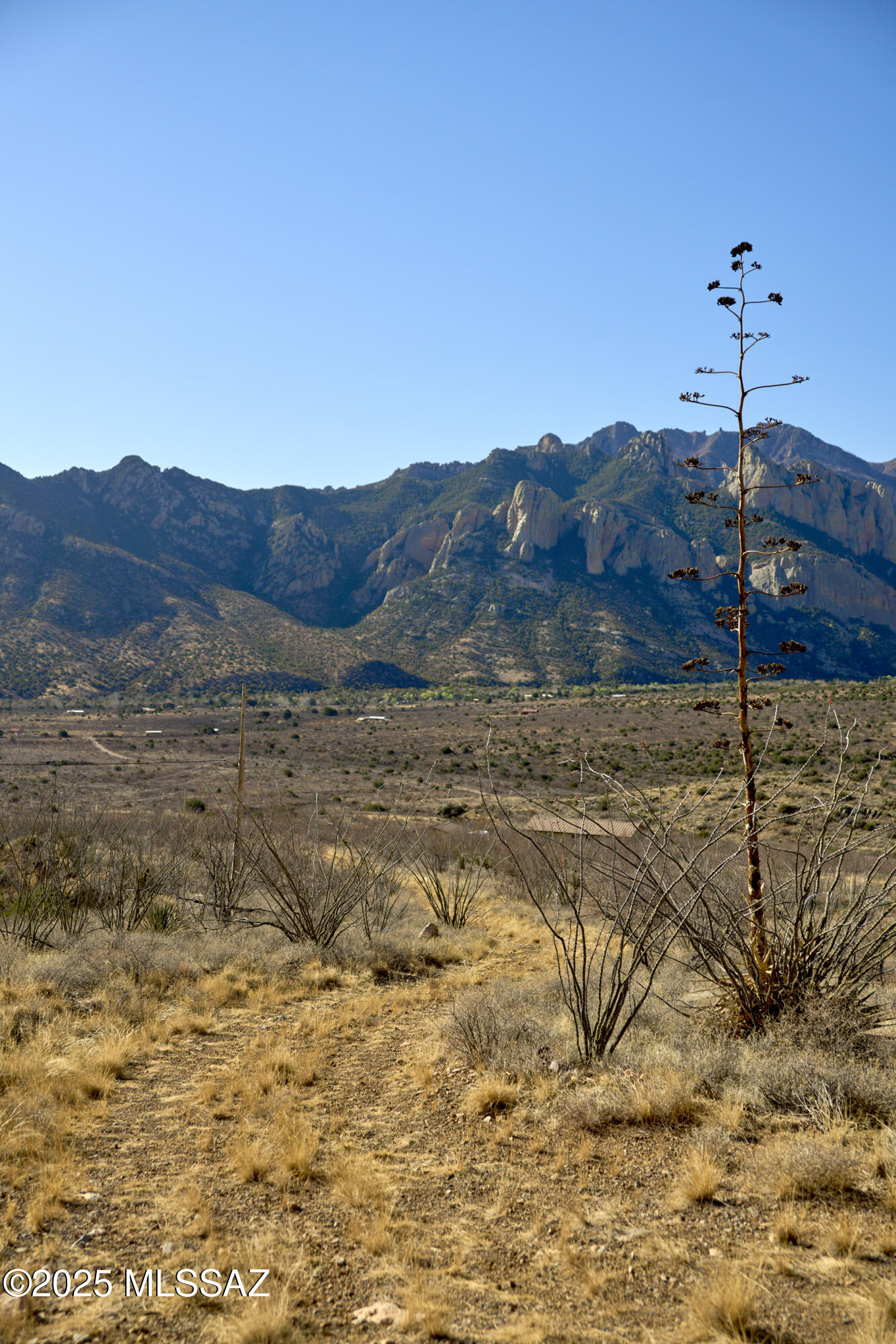 Out Of Pima County - Land