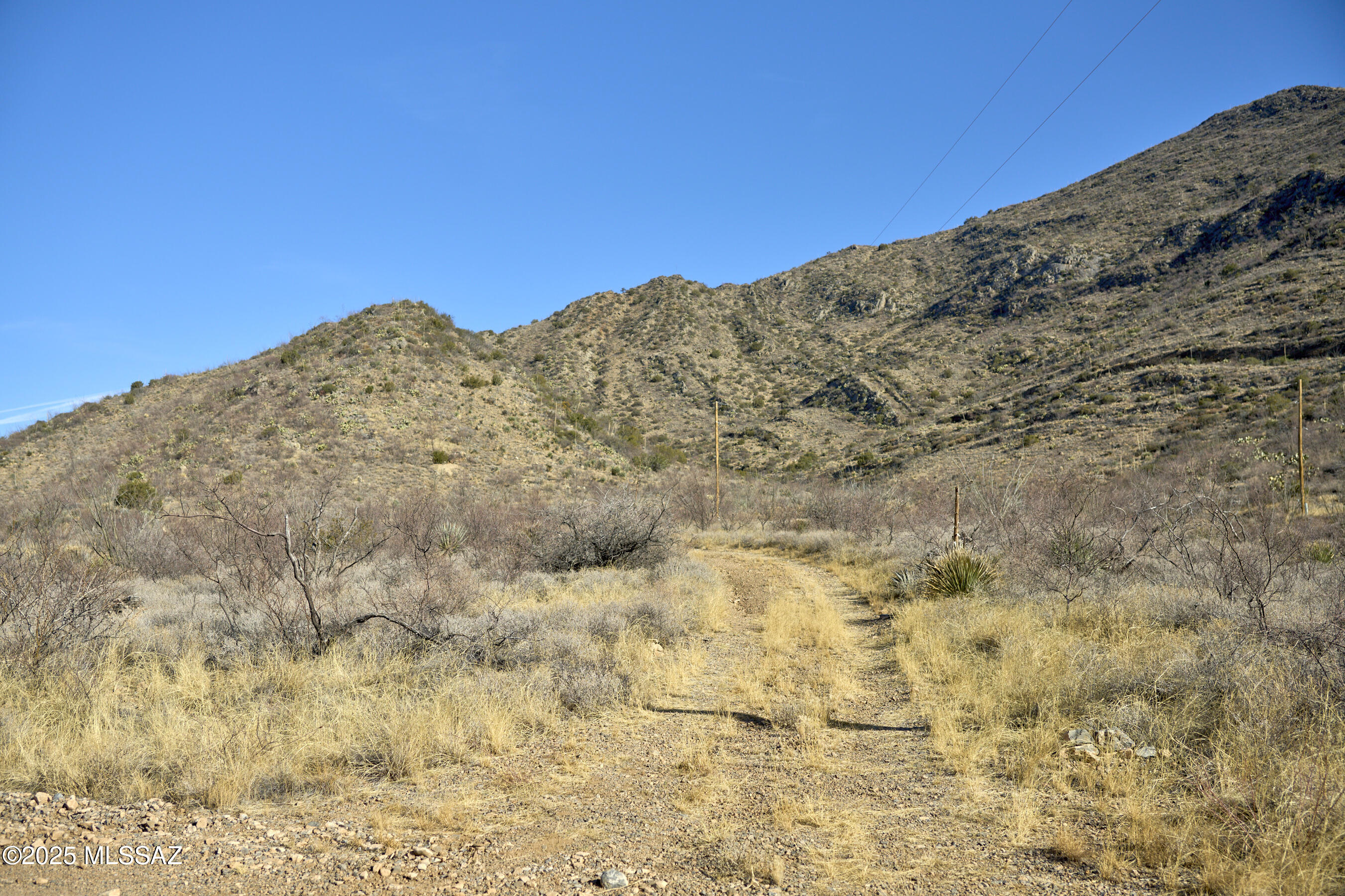 Out Of Pima County - Land