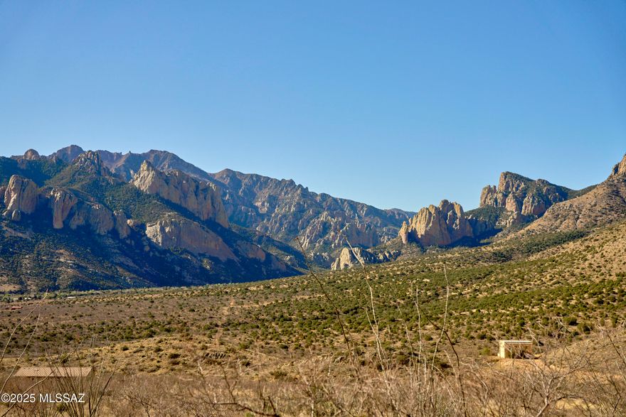 High mountainside lot, breathtaking views of the Chiricahua Mountain range and dark skies, great building sites. Natural desert vegetation with ocotillo, rich birdlife. Power at lot line and a well share. Portal area is a world-class birding, research, and outdoor recreation area, Bortle 1 & 2 Night Skies. Minutes from Portal Cafe and Cave Creek Visitor Info Center.  Major shopping in Douglas 60 mi, UPS, FedEx, Home Depot & Lowe's deliver. Lot adjoins state land on the north. Deed restrictions, no HOA.