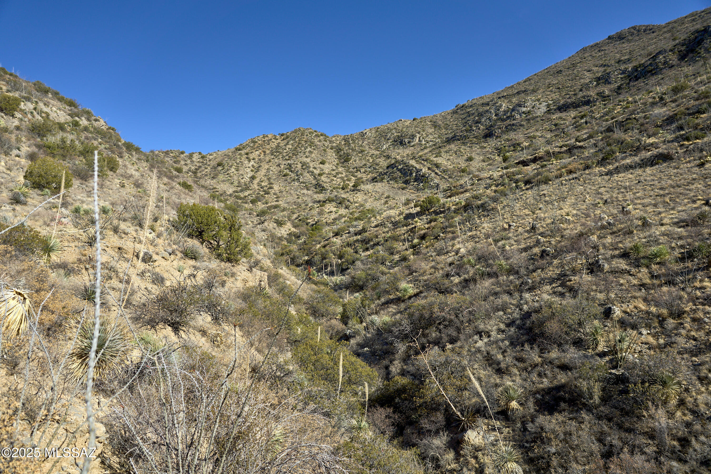 Out Of Pima County - Land