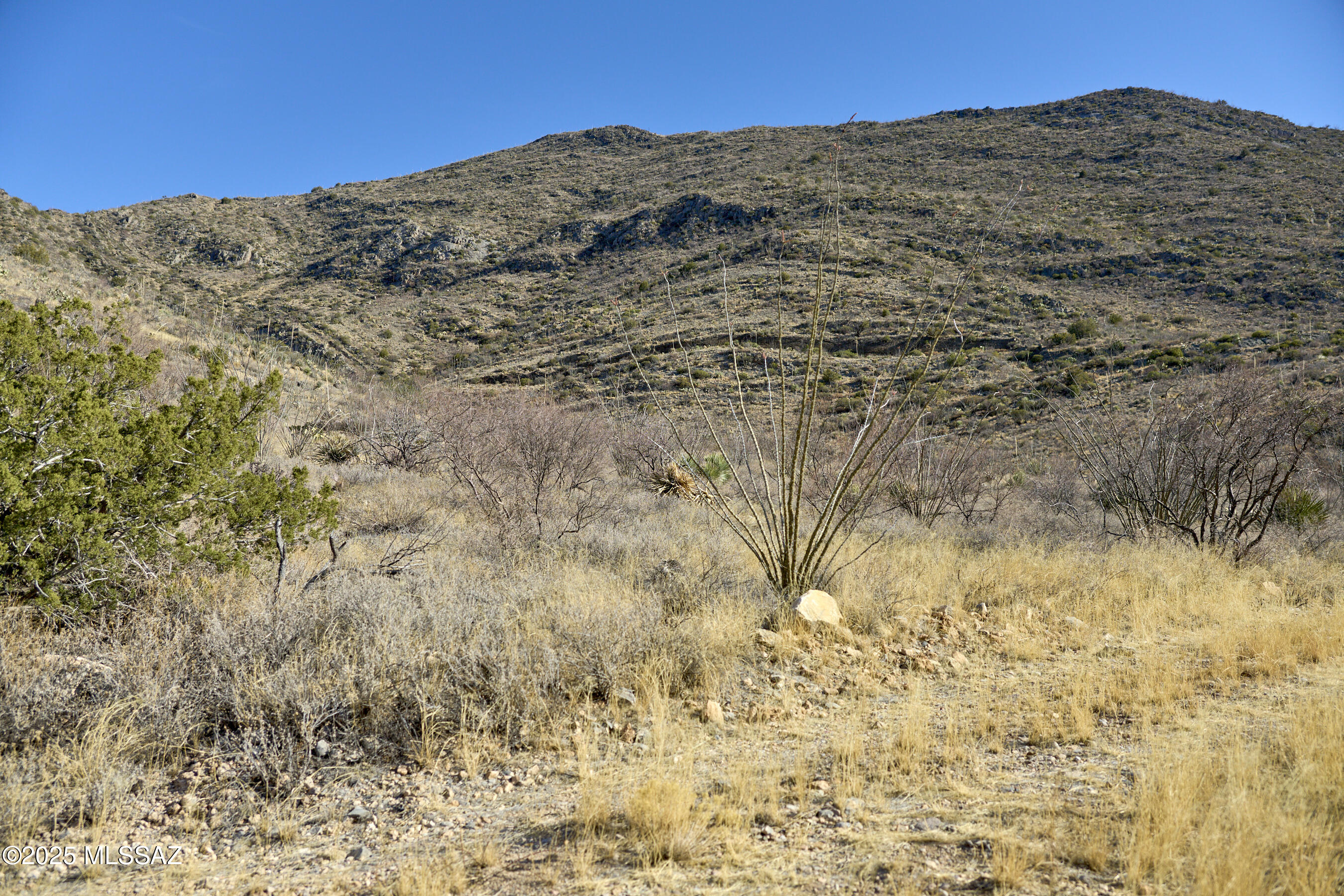 Out Of Pima County - Land