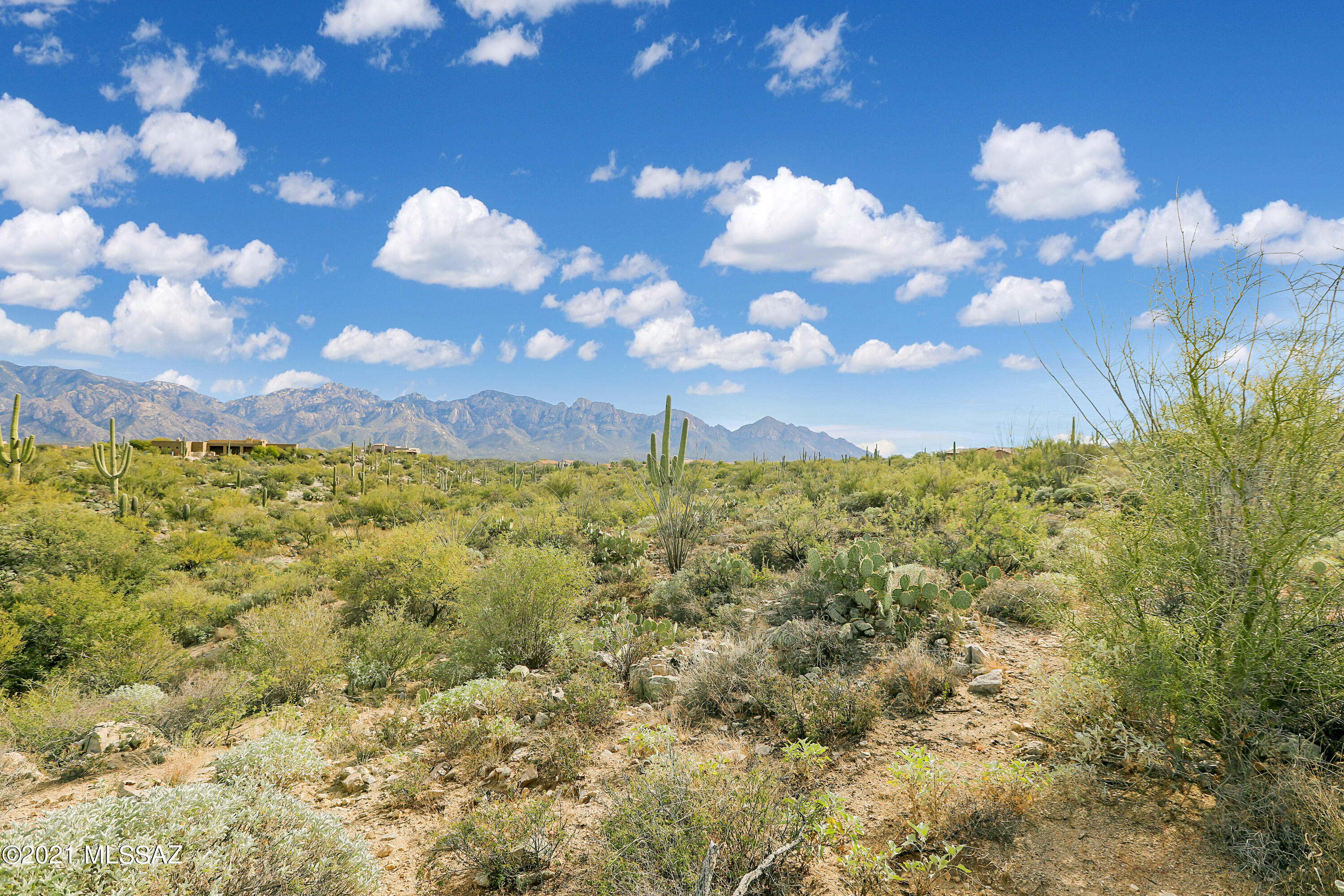 Stone Canyon VIII (486-602) - Residential