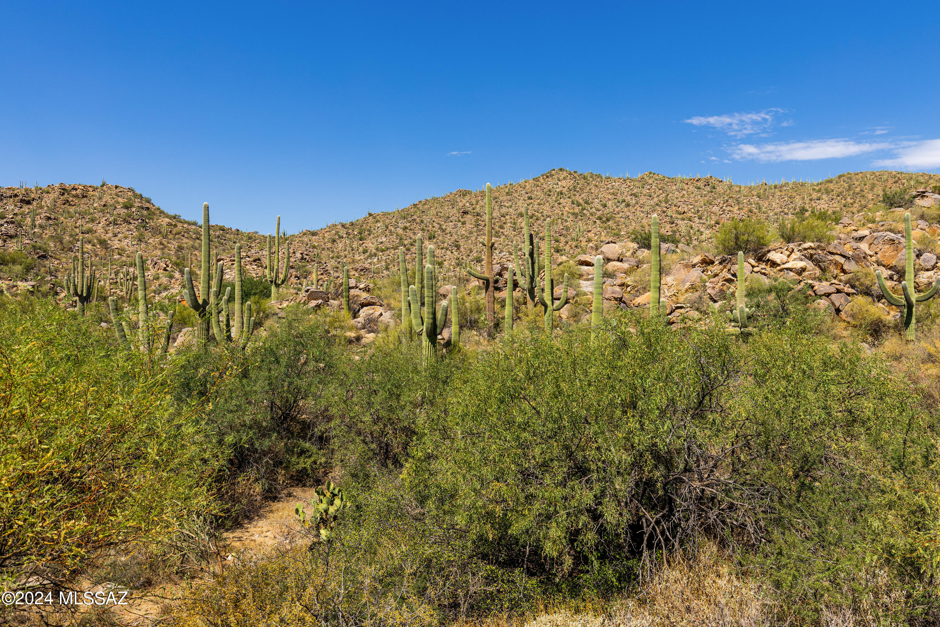 1173 W Tortolita Mountain Circle 182