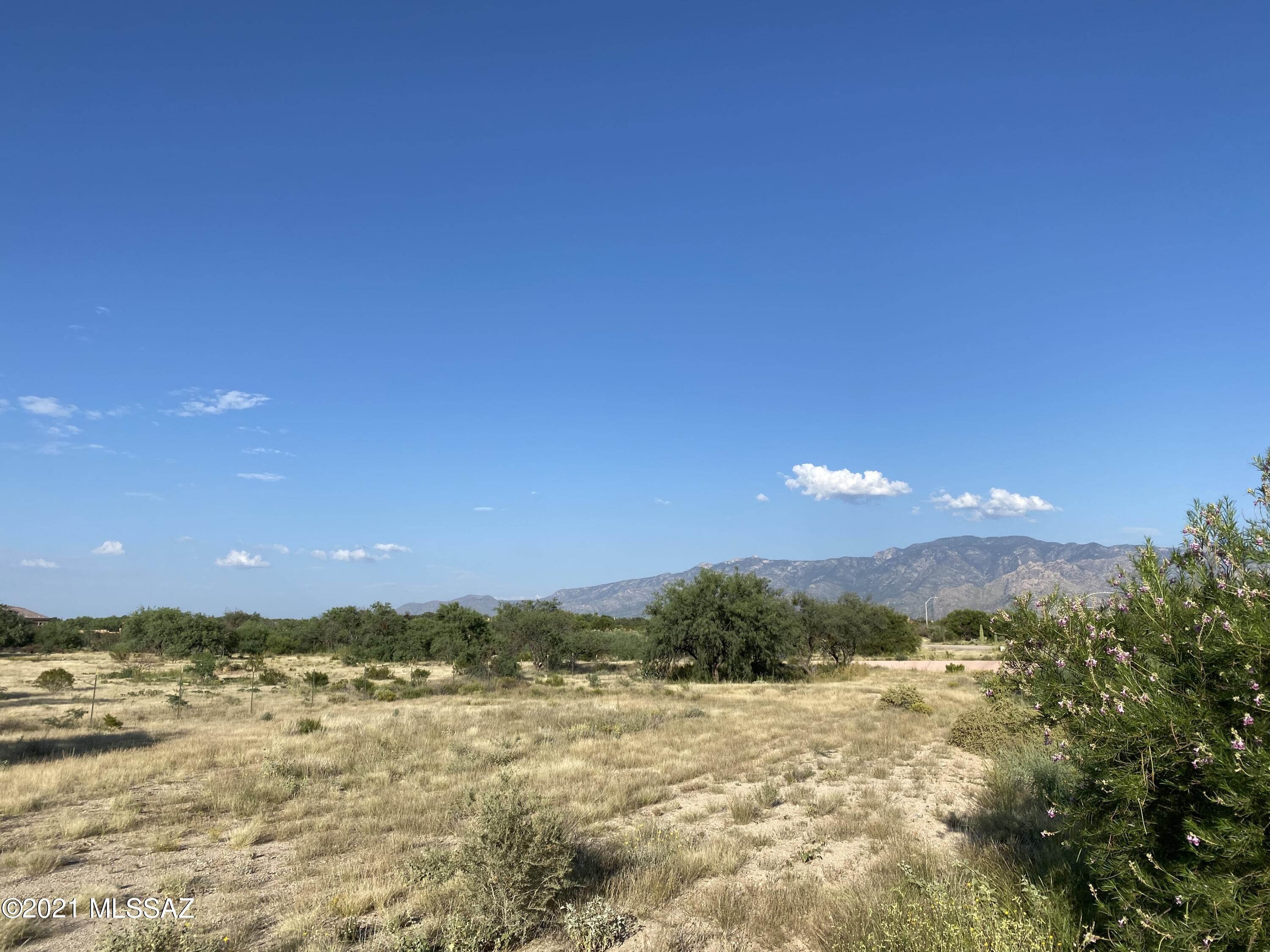 Coyote Ridge (1-109) - Land