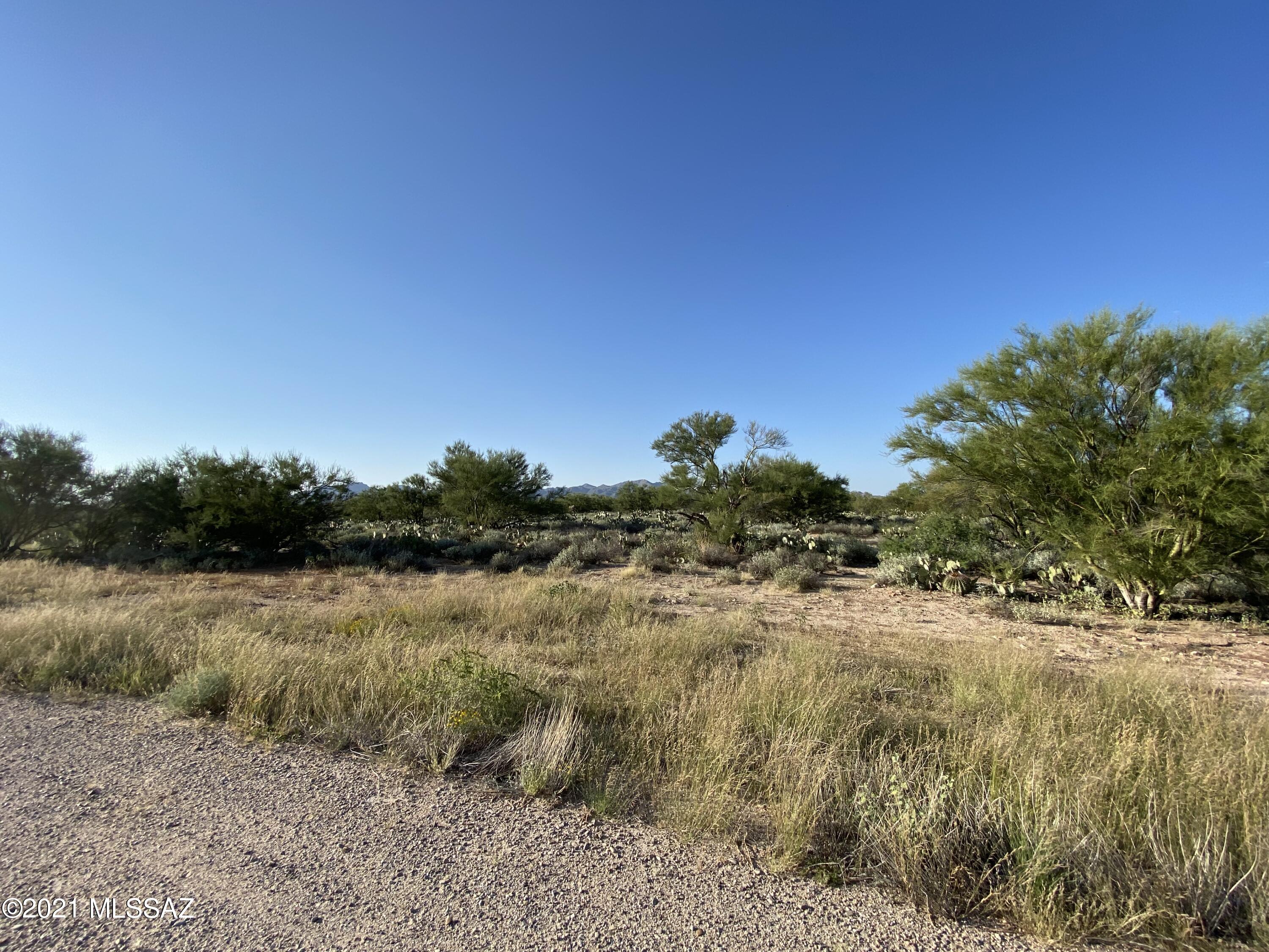 Coyote Ridge (1-109) - Land