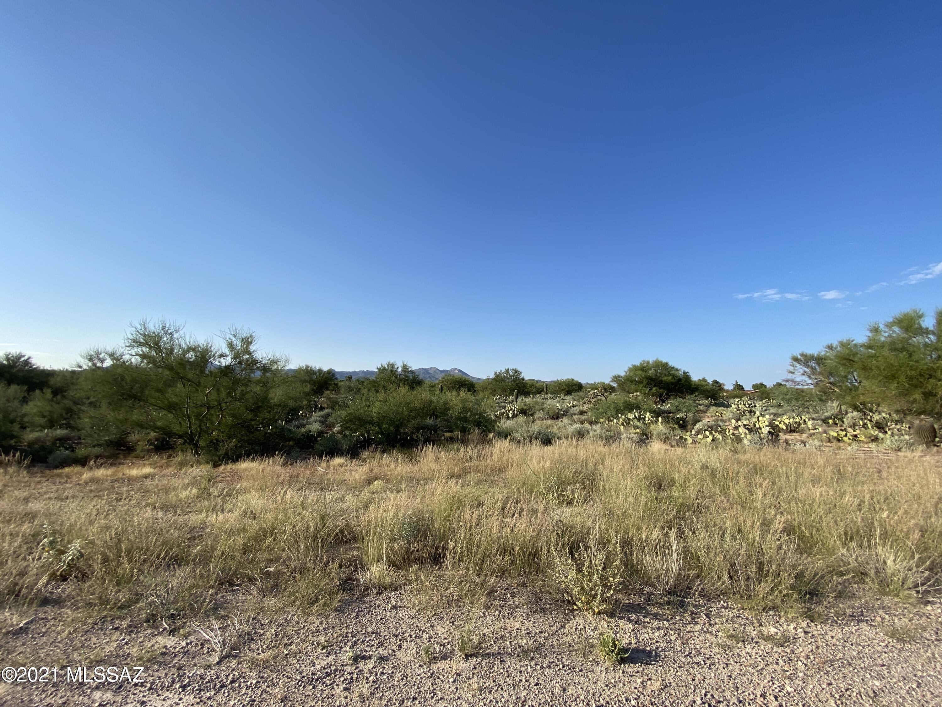 Coyote Ridge (1-109) - Land