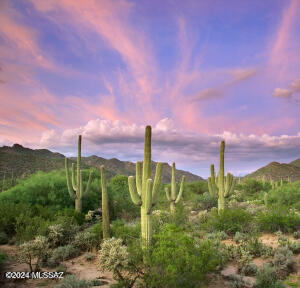 Sonoran Preserve - Residential