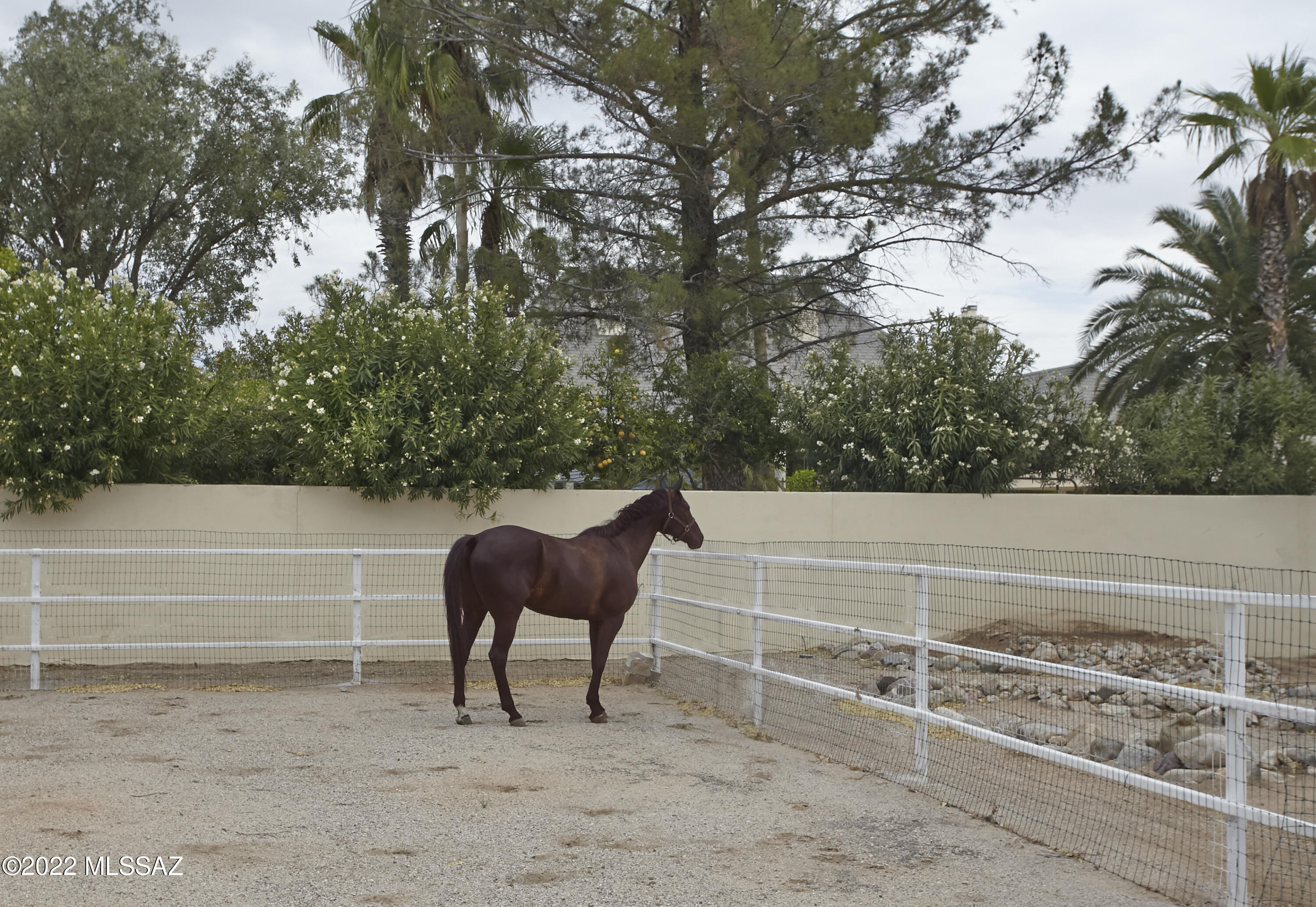 La Cebadilla Estates (1-161) - Residential