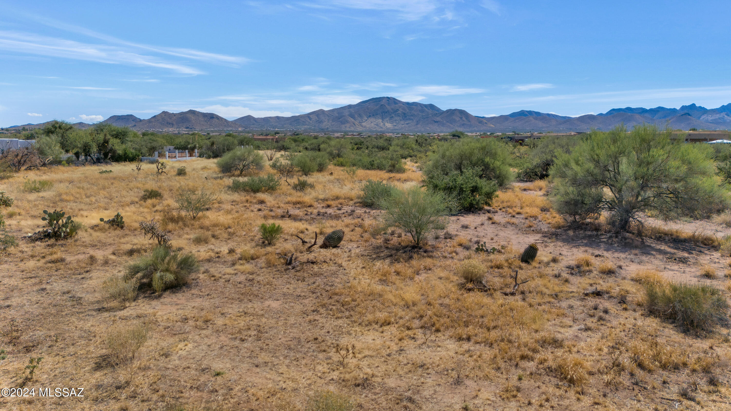 Sycamore Springs (1-64) - Residential