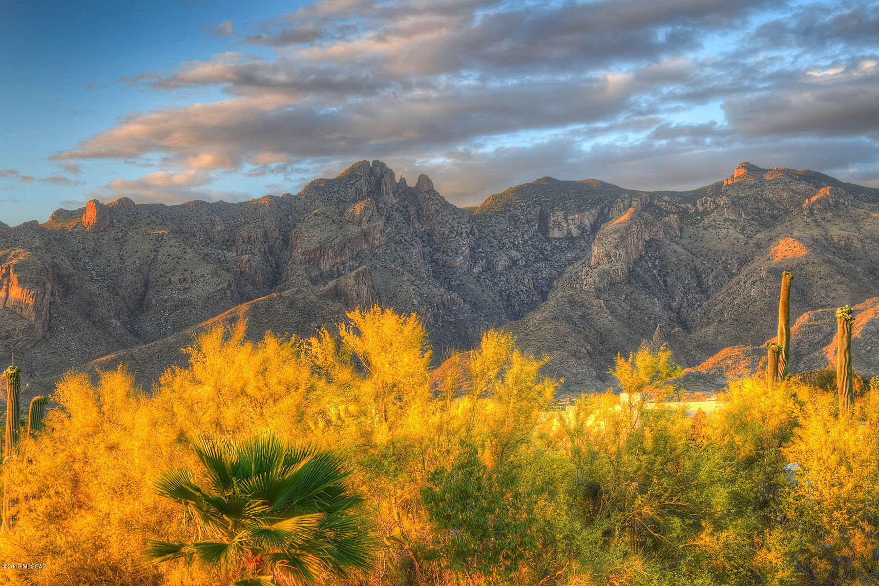 Catalina Foothills Estates - Residential