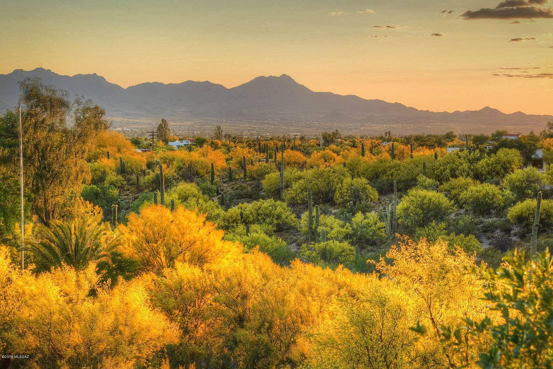 Catalina Foothills Estates - Residential
