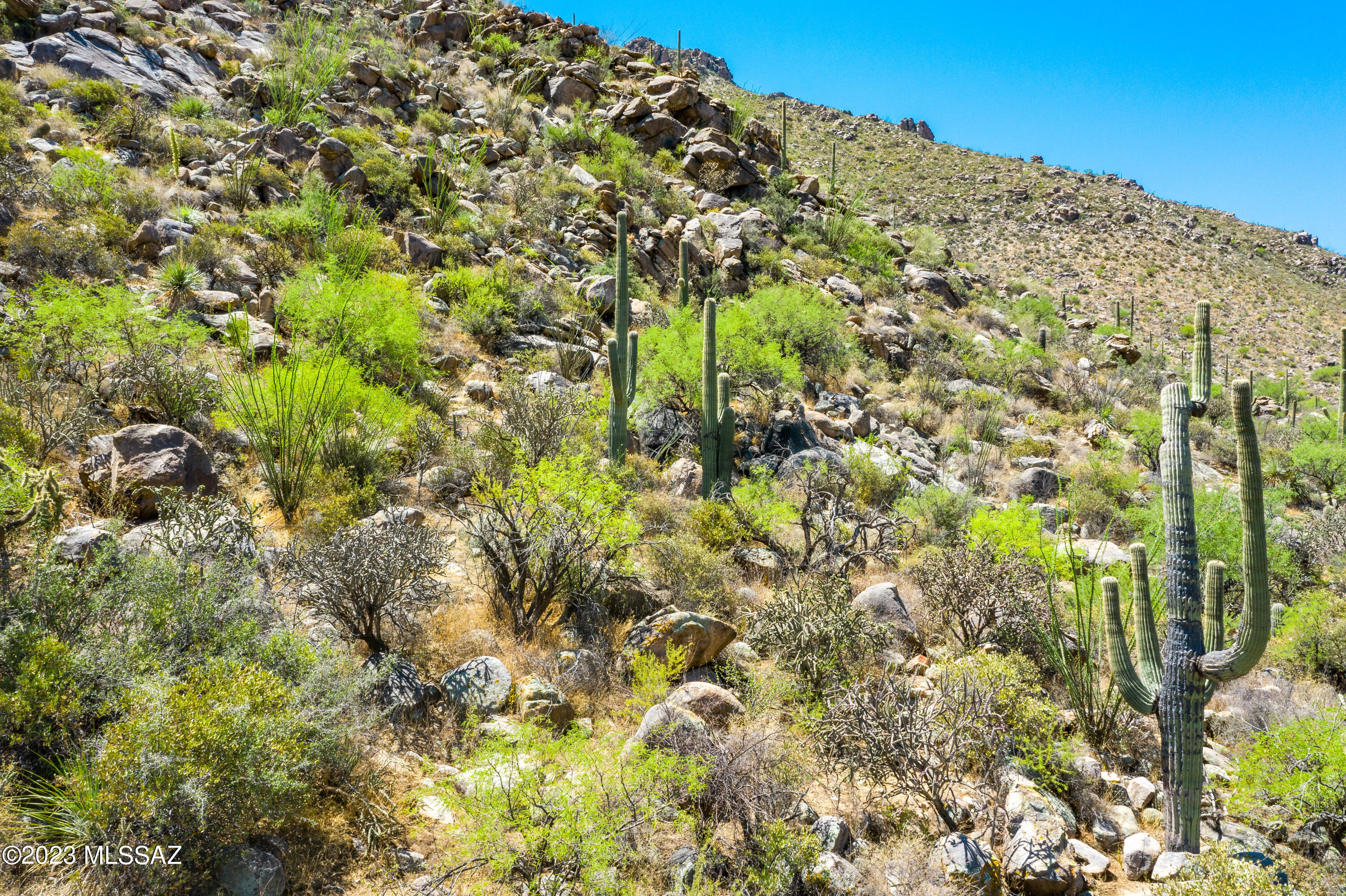 Canyon Pass At Dove Mountain - Land