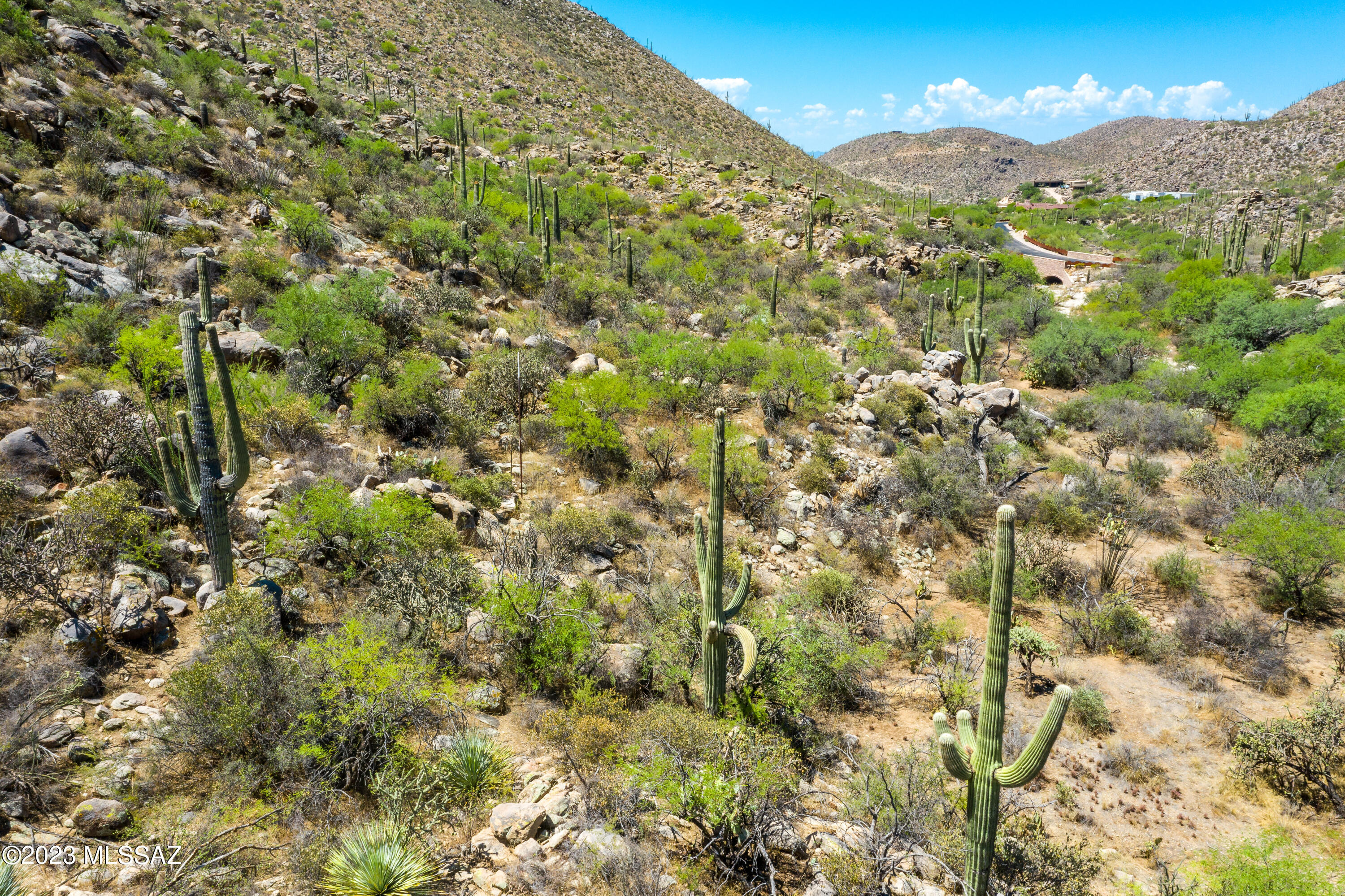 Canyon Pass At Dove Mountain - Land