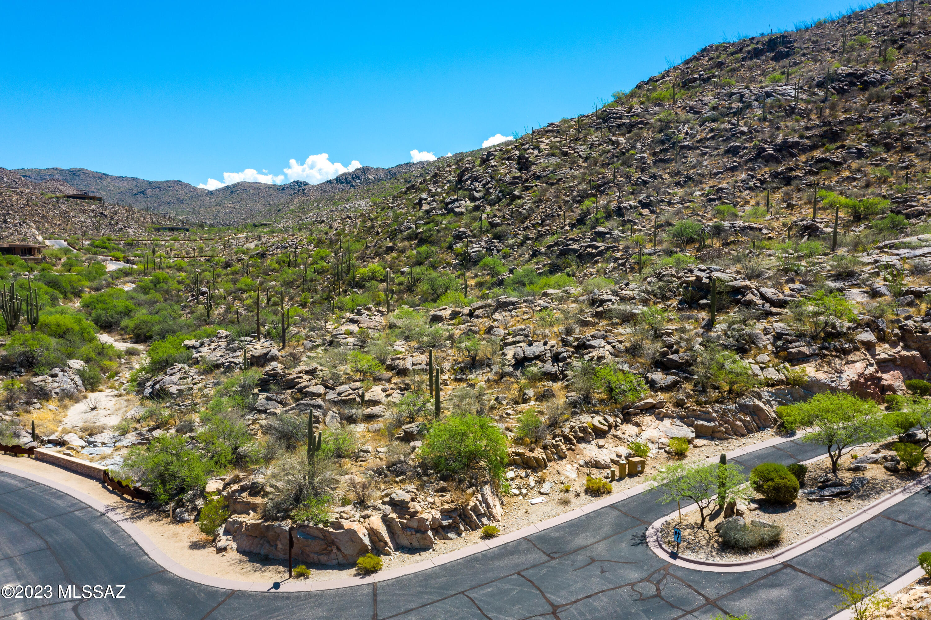 Canyon Pass At Dove Mountain - Land