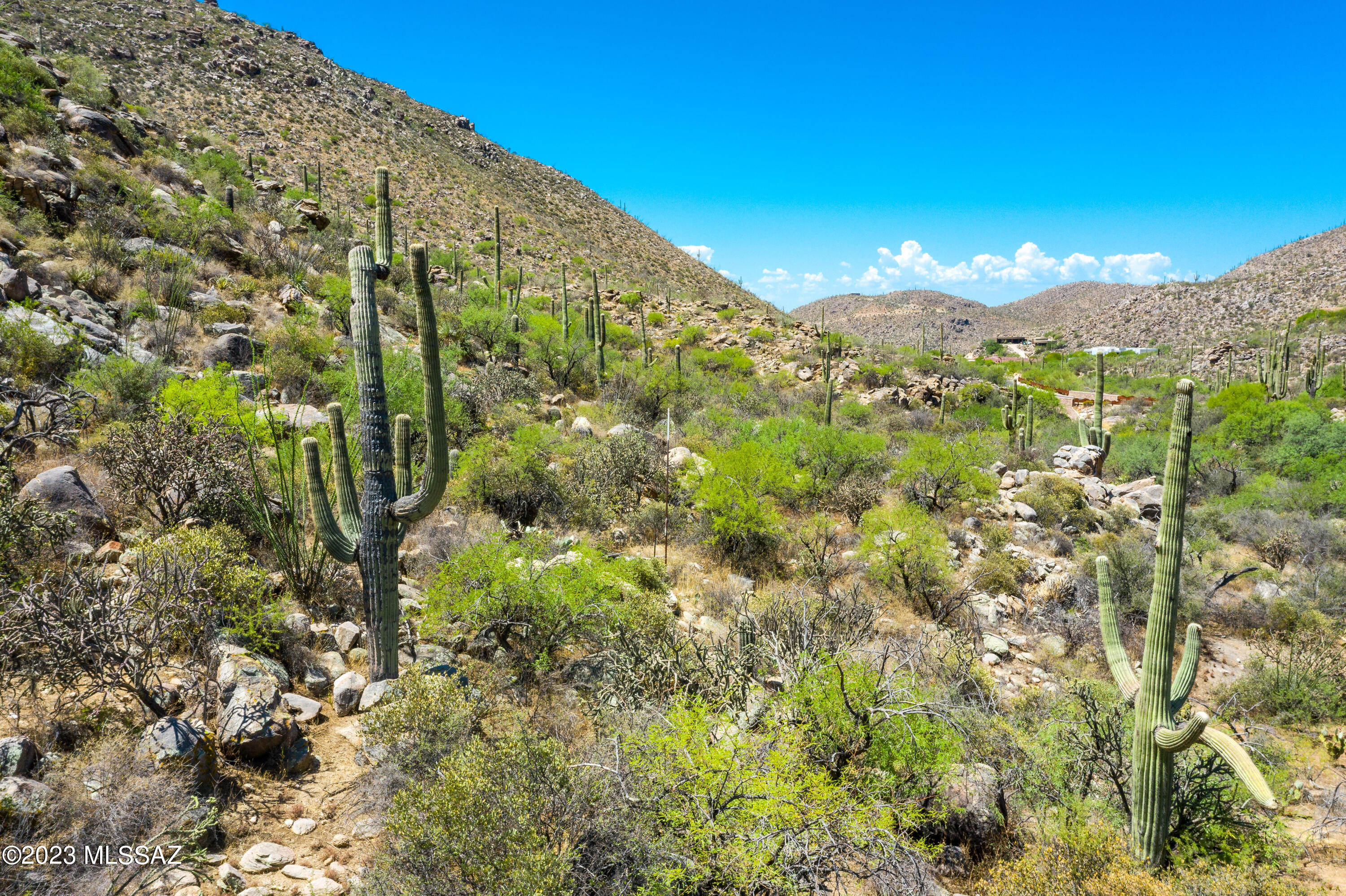 Canyon Pass At Dove Mountain - Land