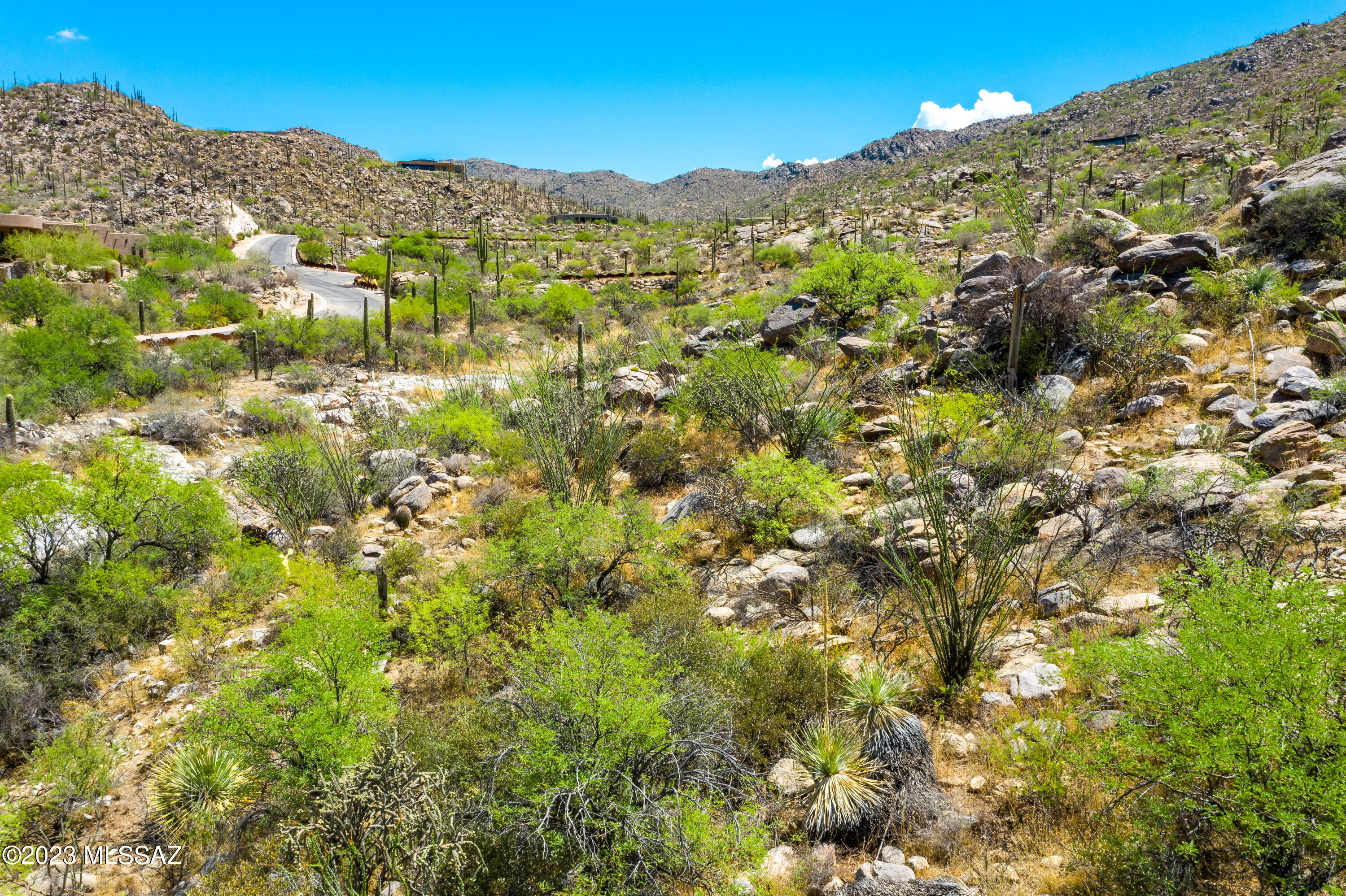 Canyon Pass At Dove Mountain - Land