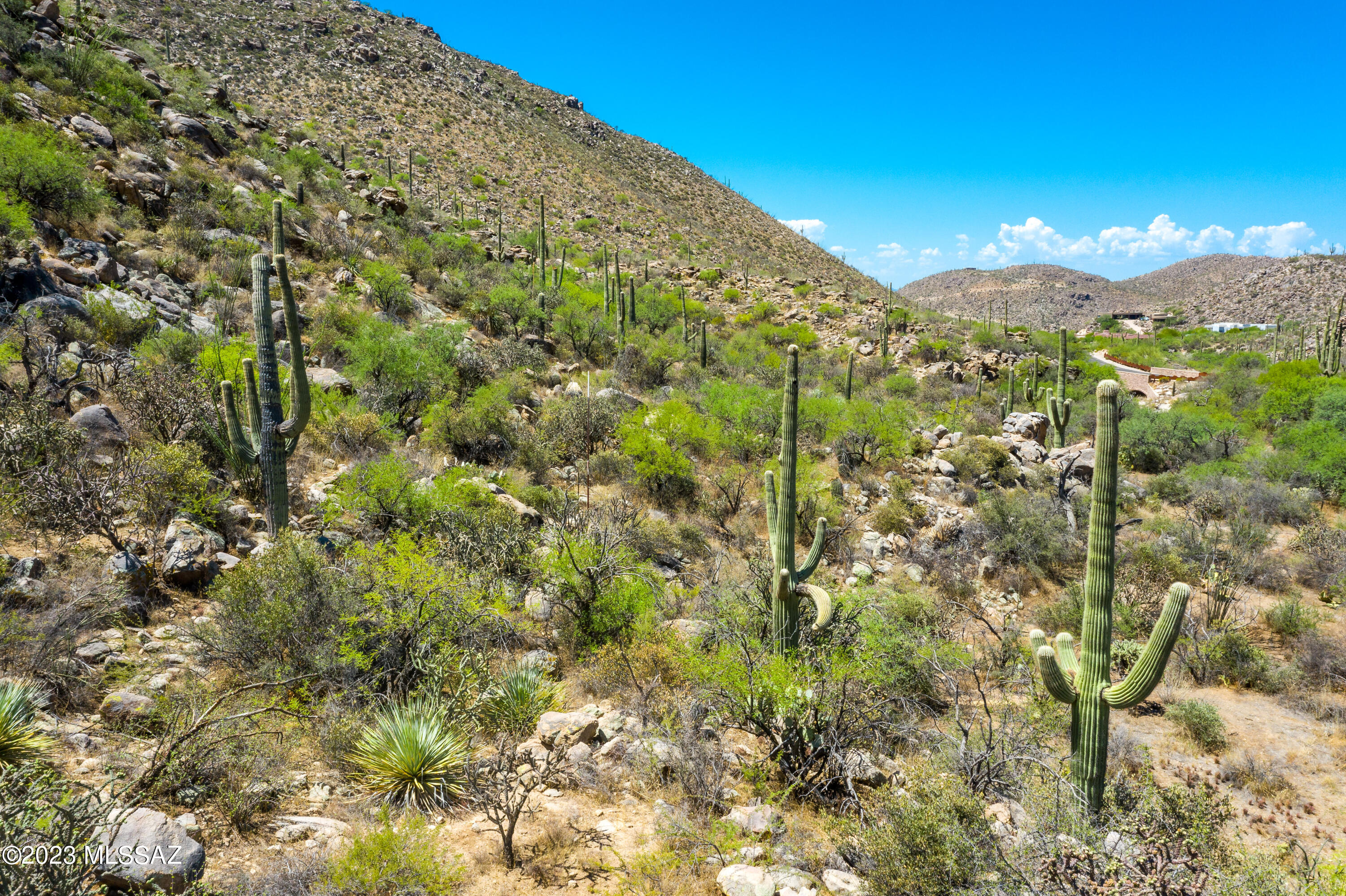 Canyon Pass At Dove Mountain - Land