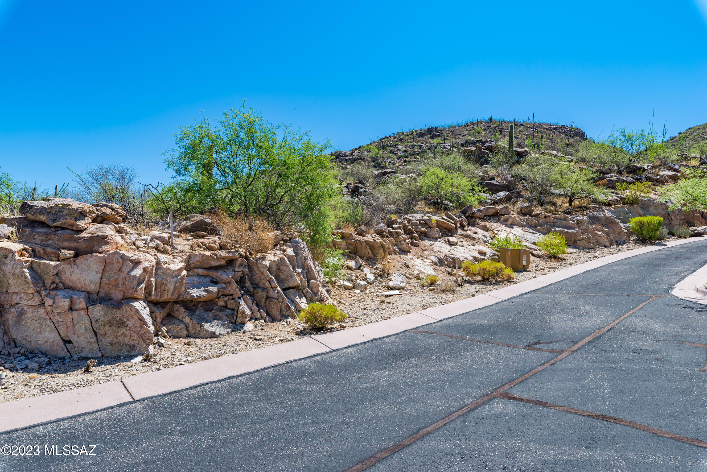 Canyon Pass At Dove Mountain - Land