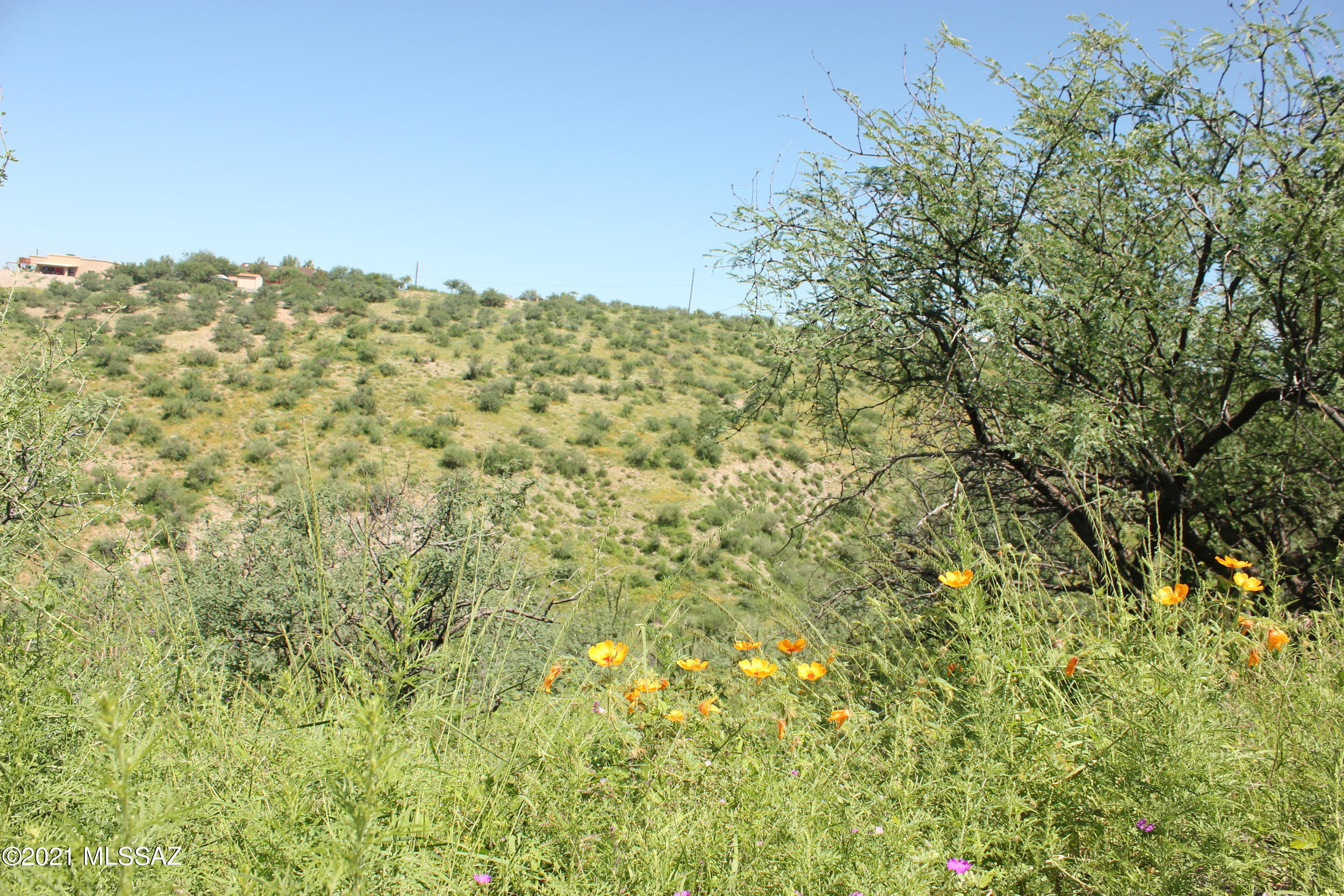 Rio Rico Ranchettes 17 - Land
