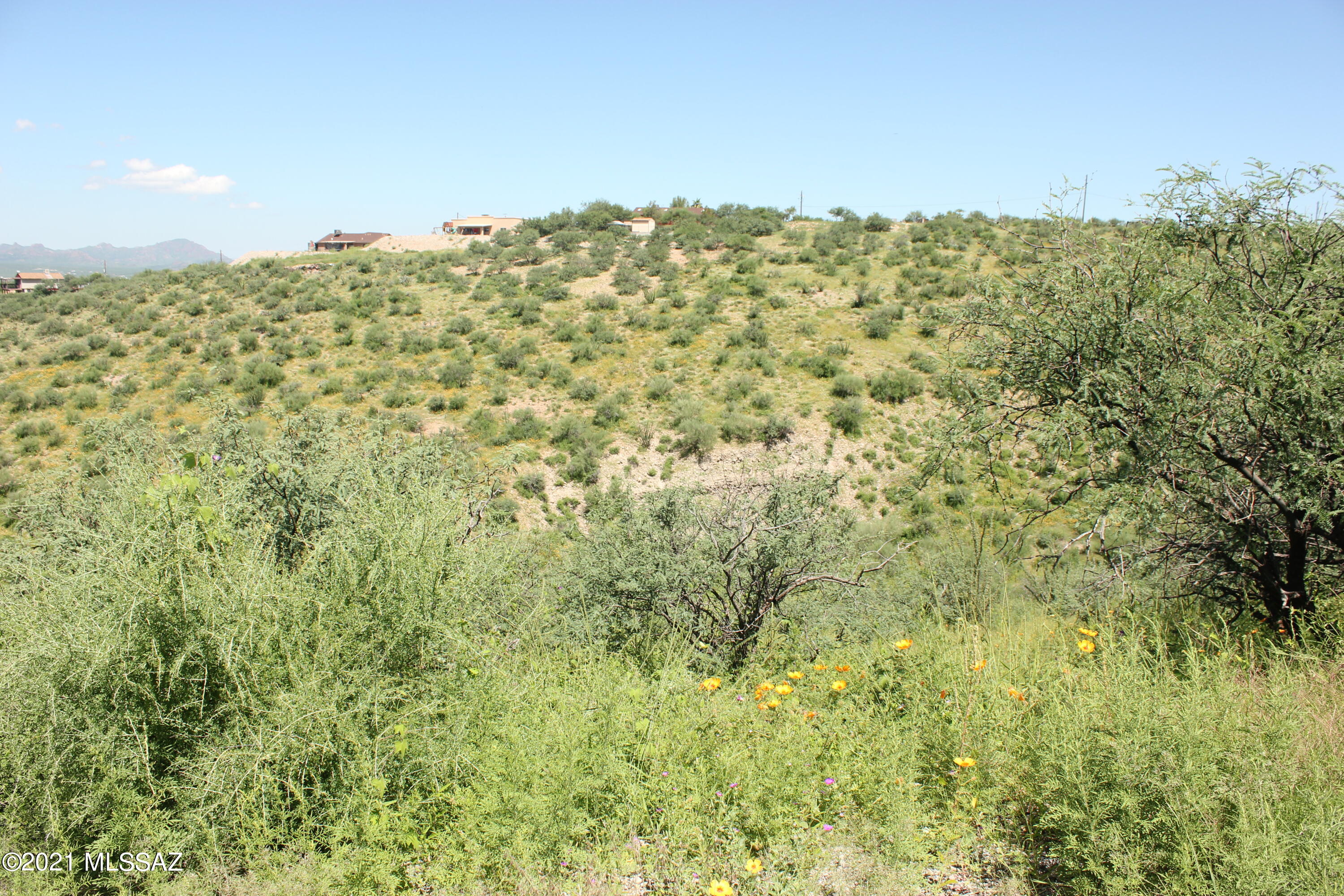 Rio Rico Ranchettes 17 - Land