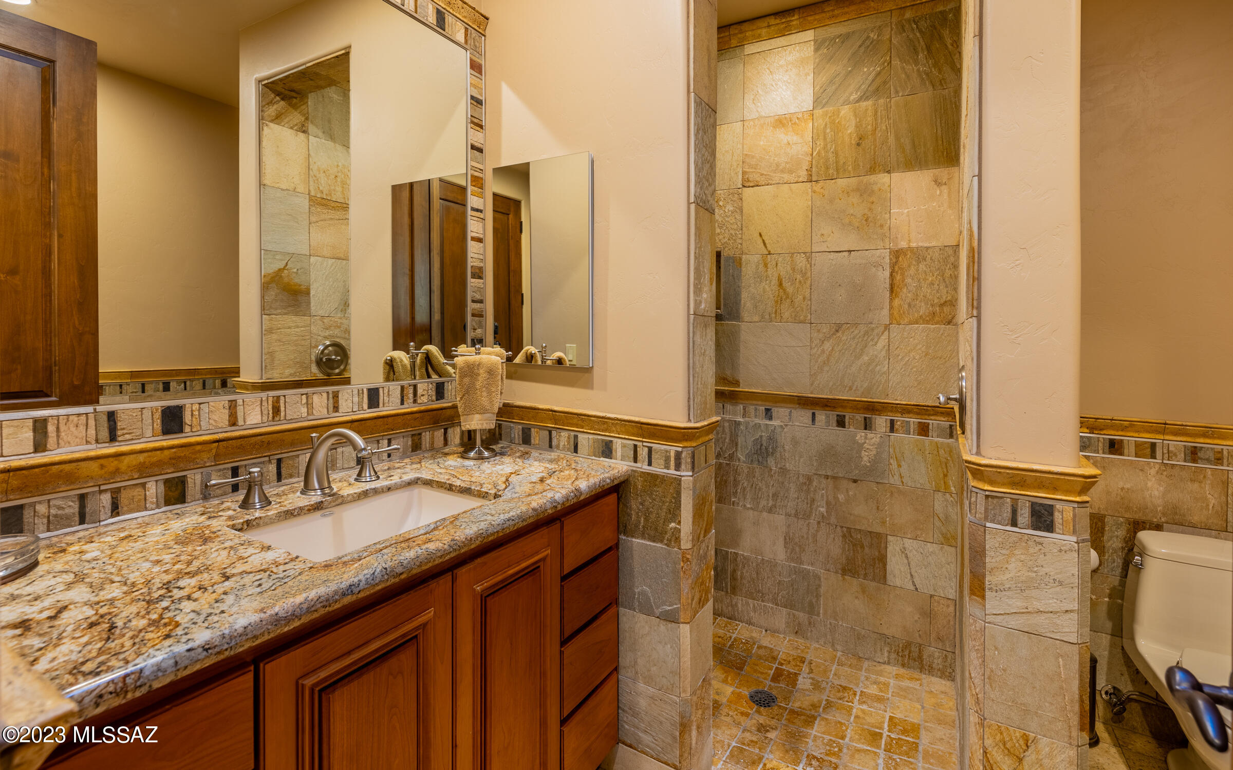 Canyon Pass At Dove Mountain - Residential