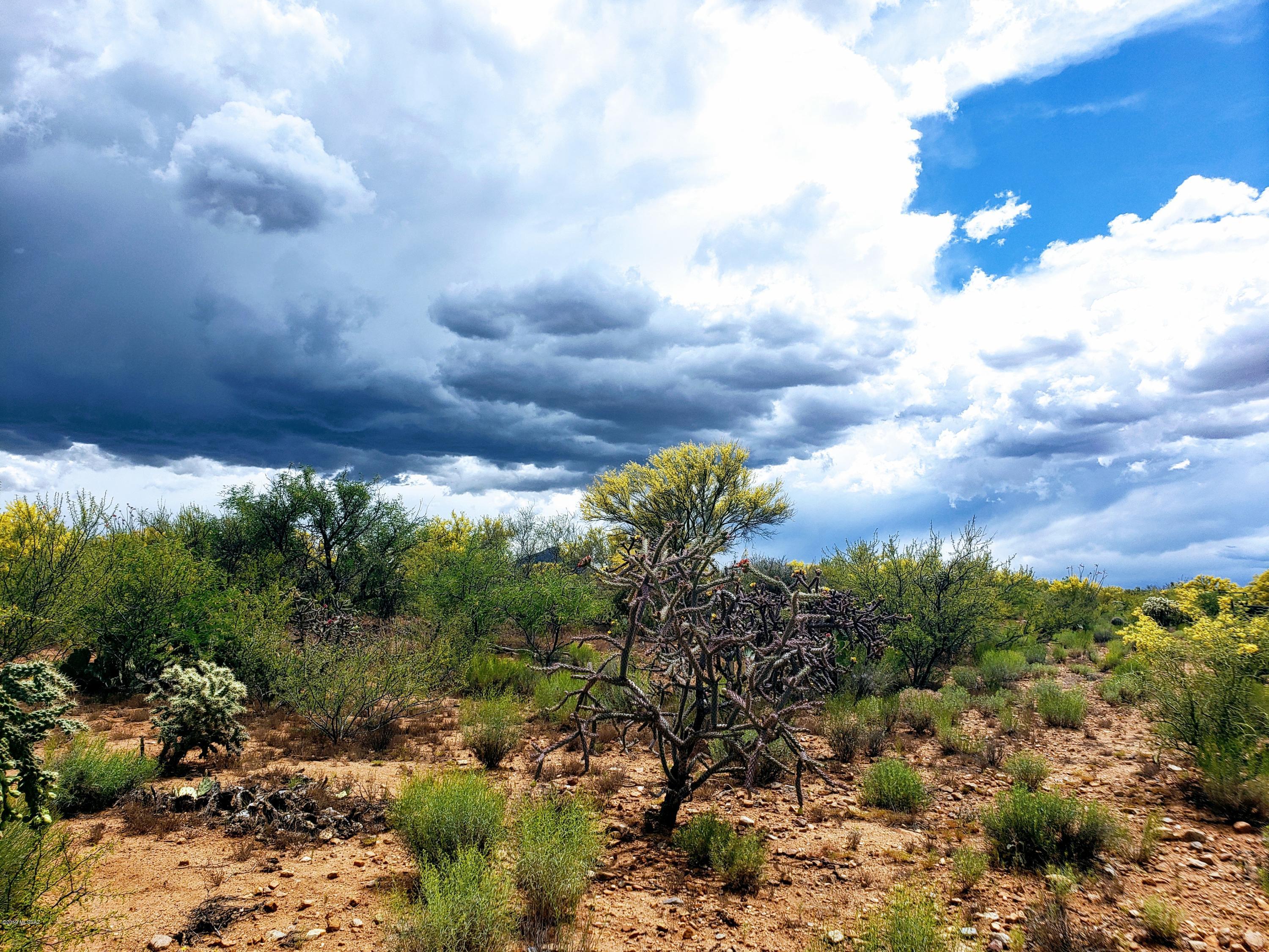 Diamond Bell Ranch - Tucson Unit 12 (1-402) - Land