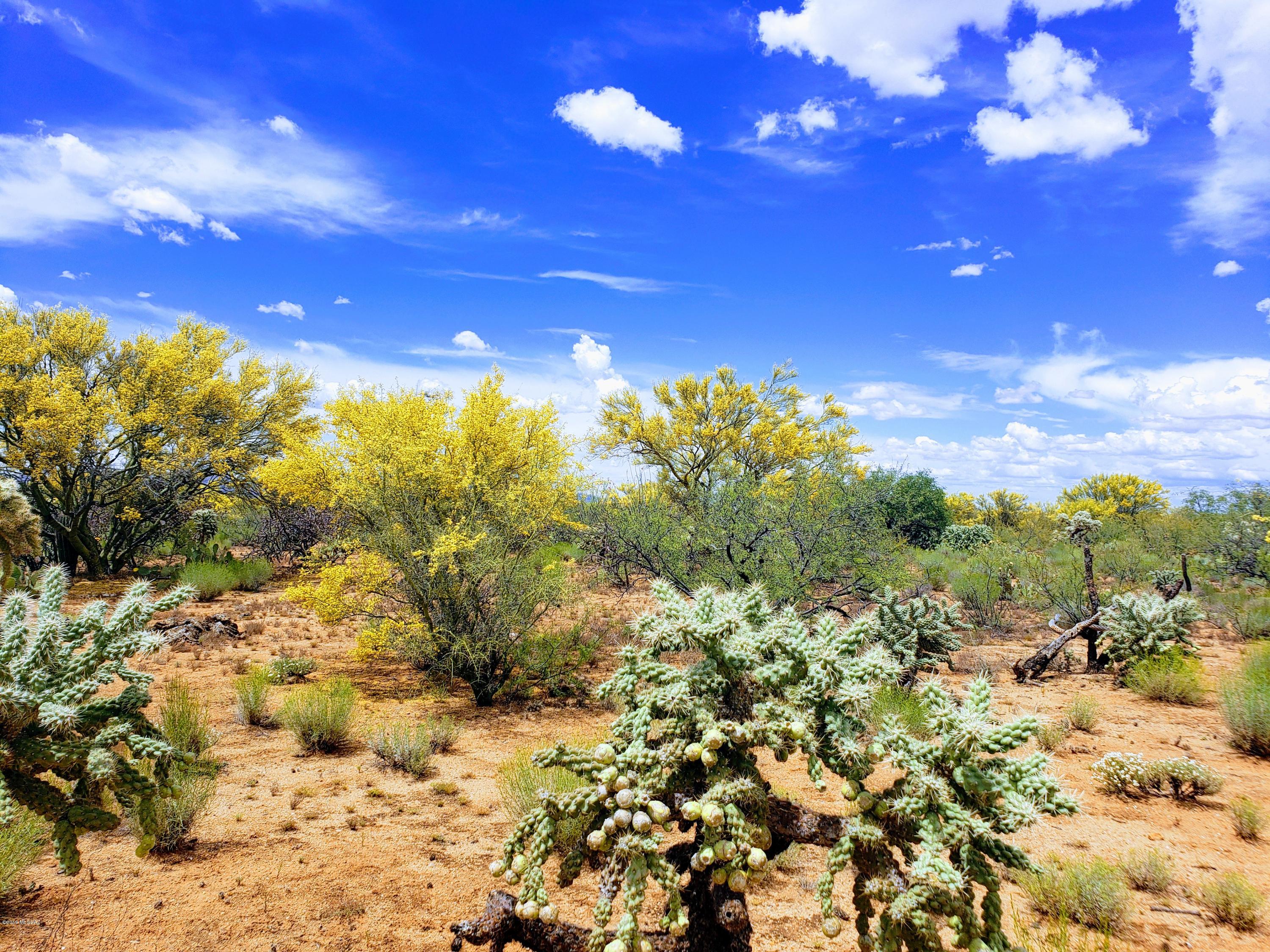 Diamond Bell Ranch - Tucson Unit 12 (1-402) - Land