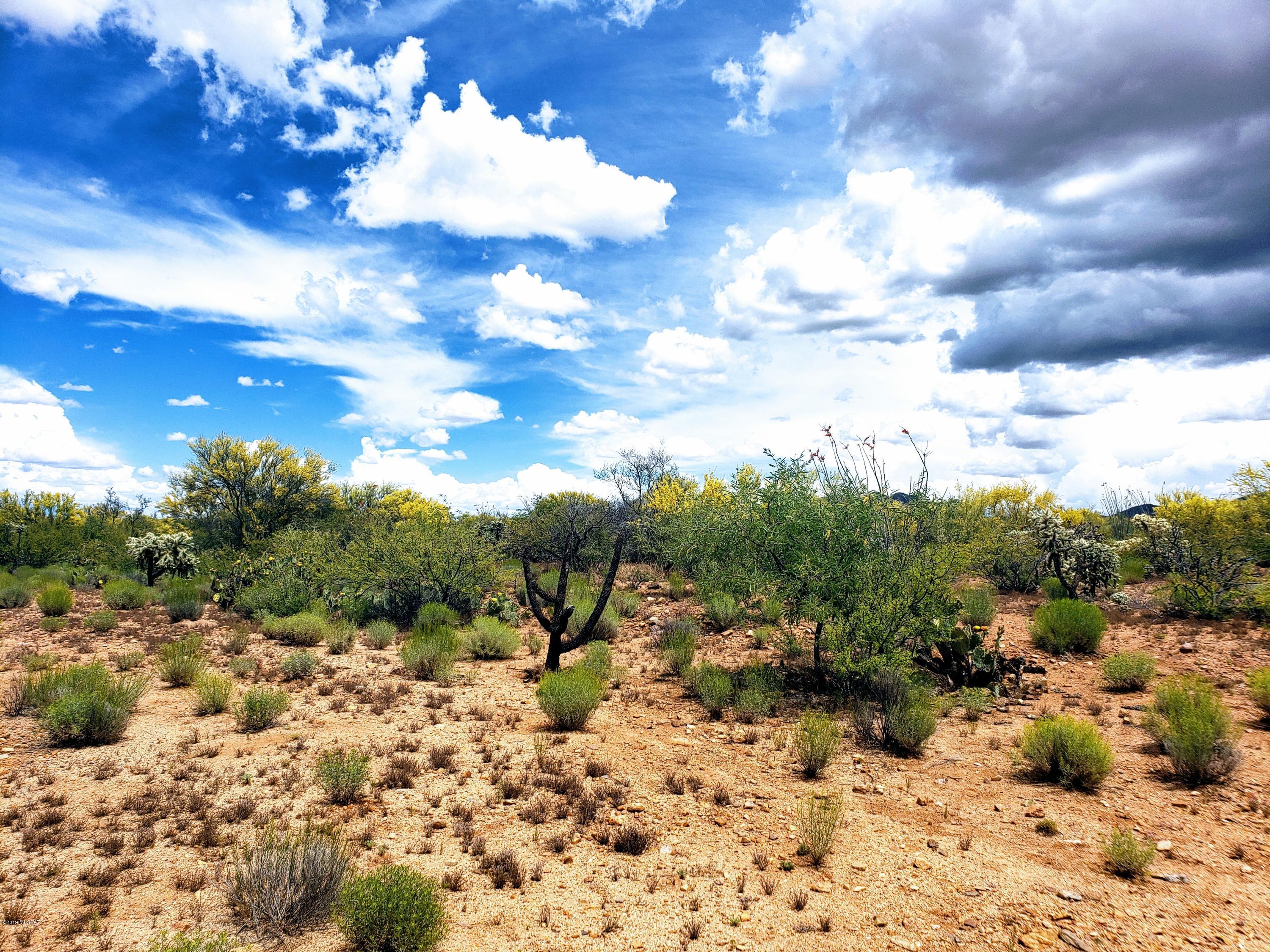 Diamond Bell Ranch - Tucson Unit 12 (1-402) - Land