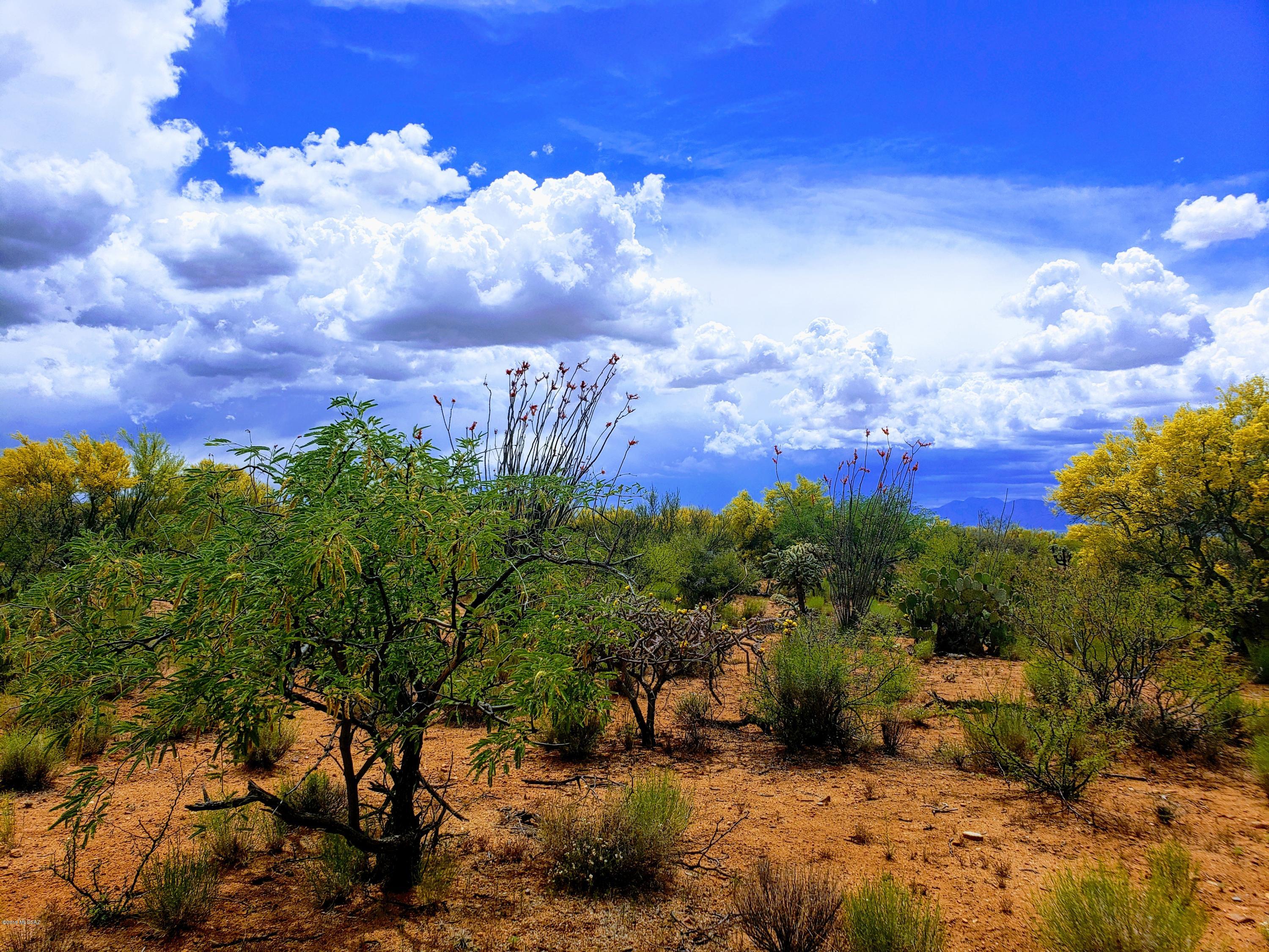 Diamond Bell Ranch - Tucson Unit 12 (1-402) - Land