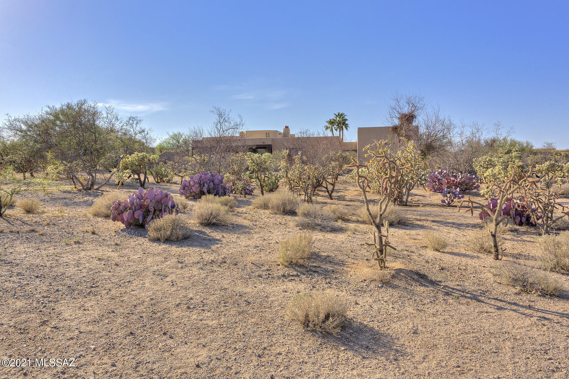 Rancho Buena Vista (30-69) - Residential