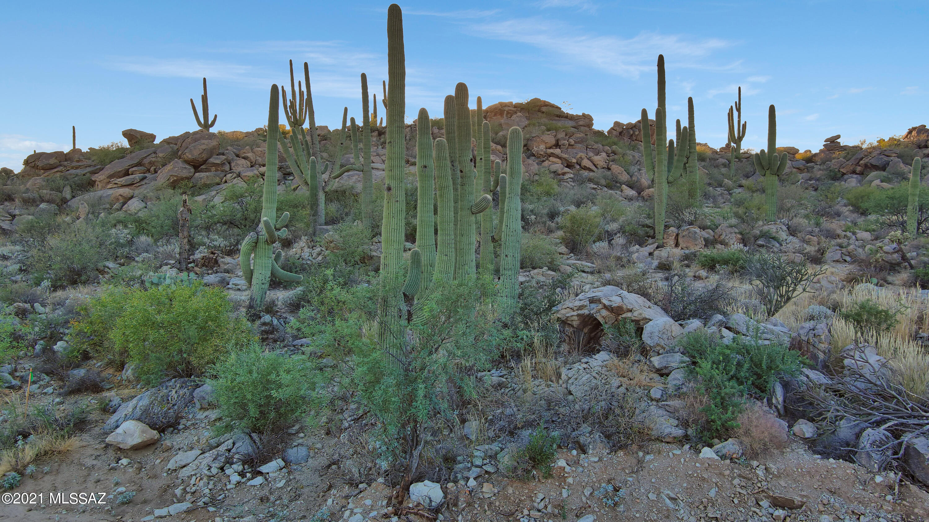 Stone Canyon VIII (486-602) - Residential