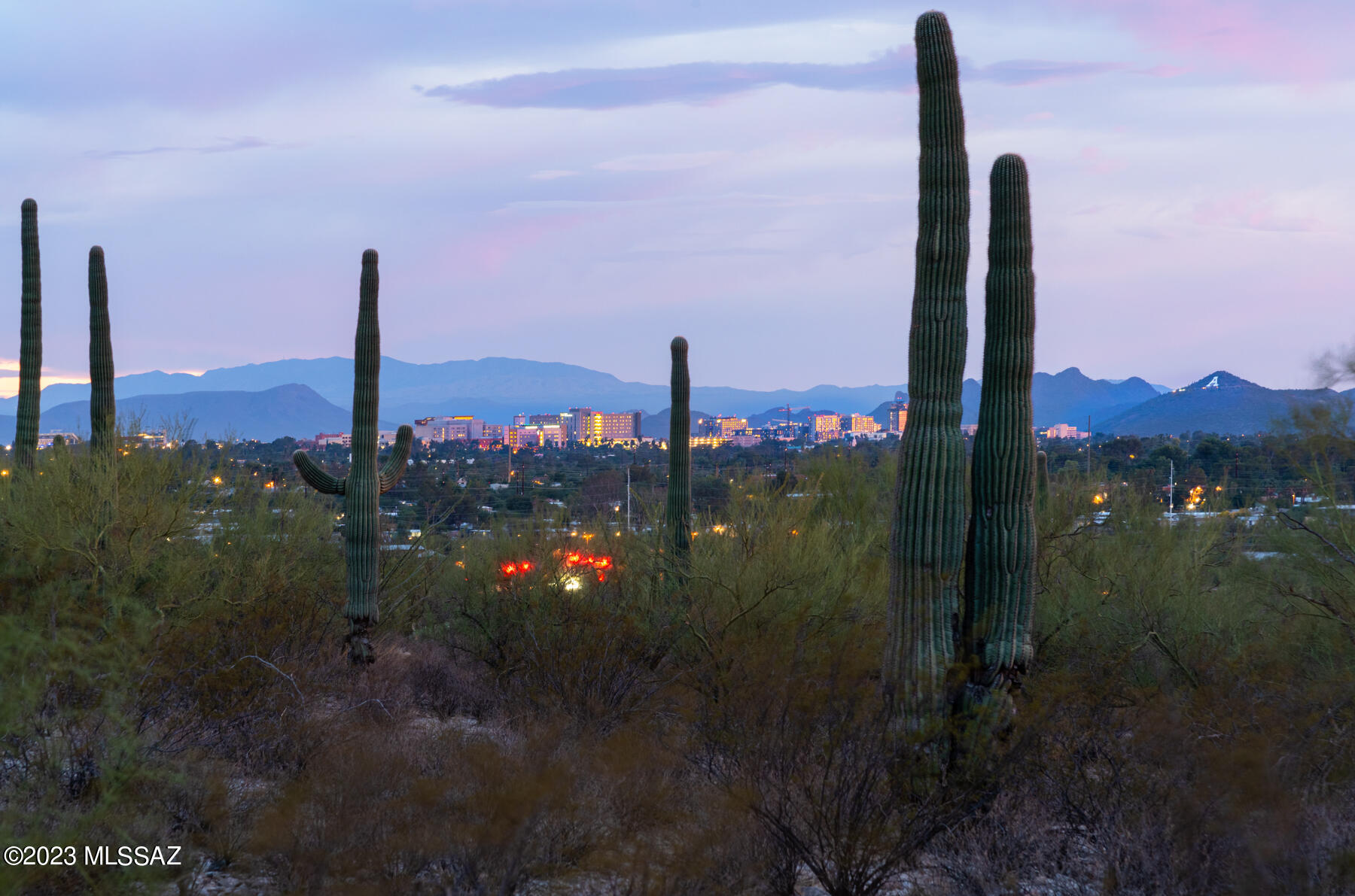 Bellas Catalinas Estates (1-93) - Residential